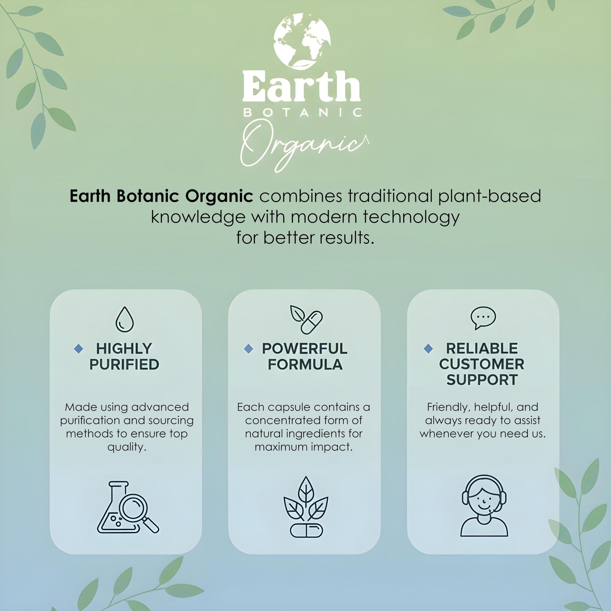 Earth BOTANIC Organic Apricot Extract, 1000 mg 120 Veggie Capsules (Vegan, Non-GMO) Herbal Supplements Earth BOTANIC OrganicAu supplements