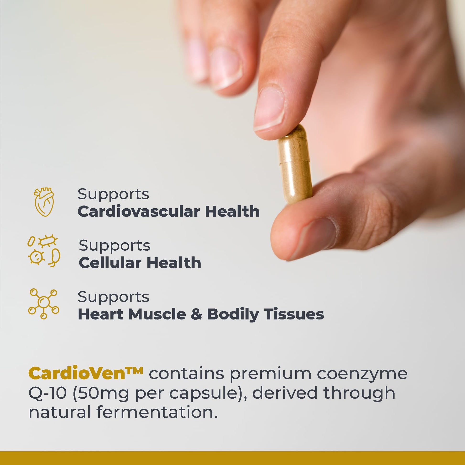 Premier Research Labs CardioVen - CoQ10, Coenzyme Q10, Co Q 10 Supplement 50mg, Ubiquinol with Chlorella, Tocotrienol & Cayenne Pepper for Heart Health, Antioxidant Support - 60 Vegetarian Capsules Premier Research LabsAu supplements