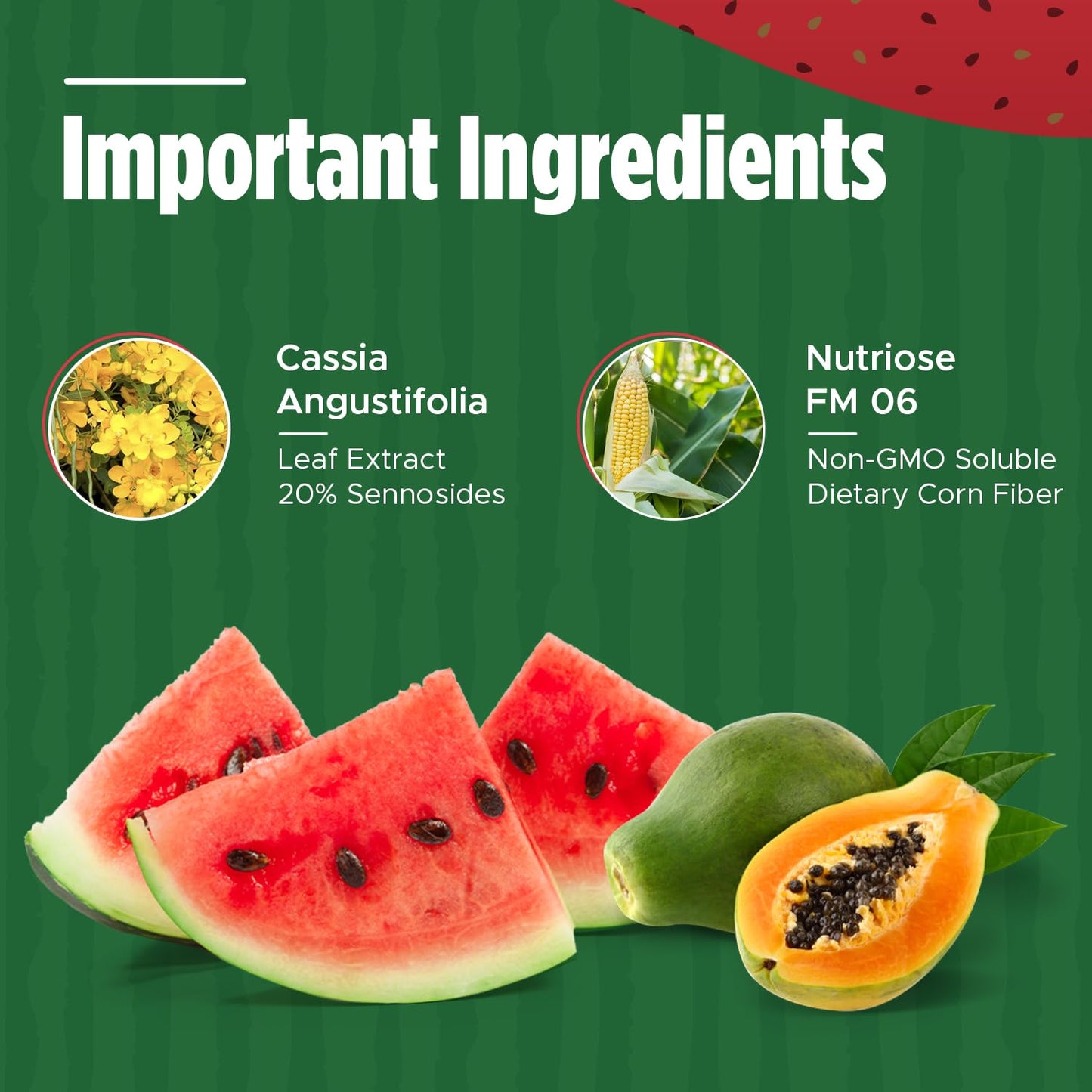 Iaso Instant Tea Watermelon Flavor - 4 grams (25 Sachets) Total Life ChangesUS supplements