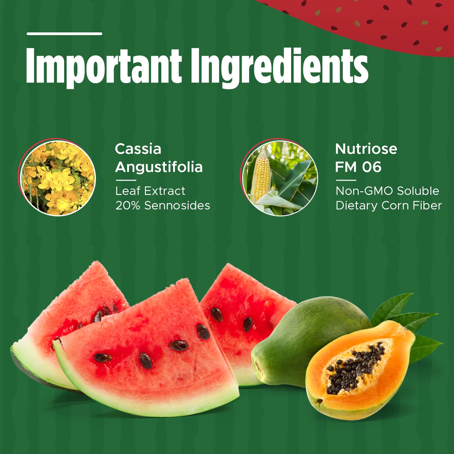 Iaso Instant Tea Watermelon Flavor - 4 grams (25 Sachets) Total Life ChangesUS supplements