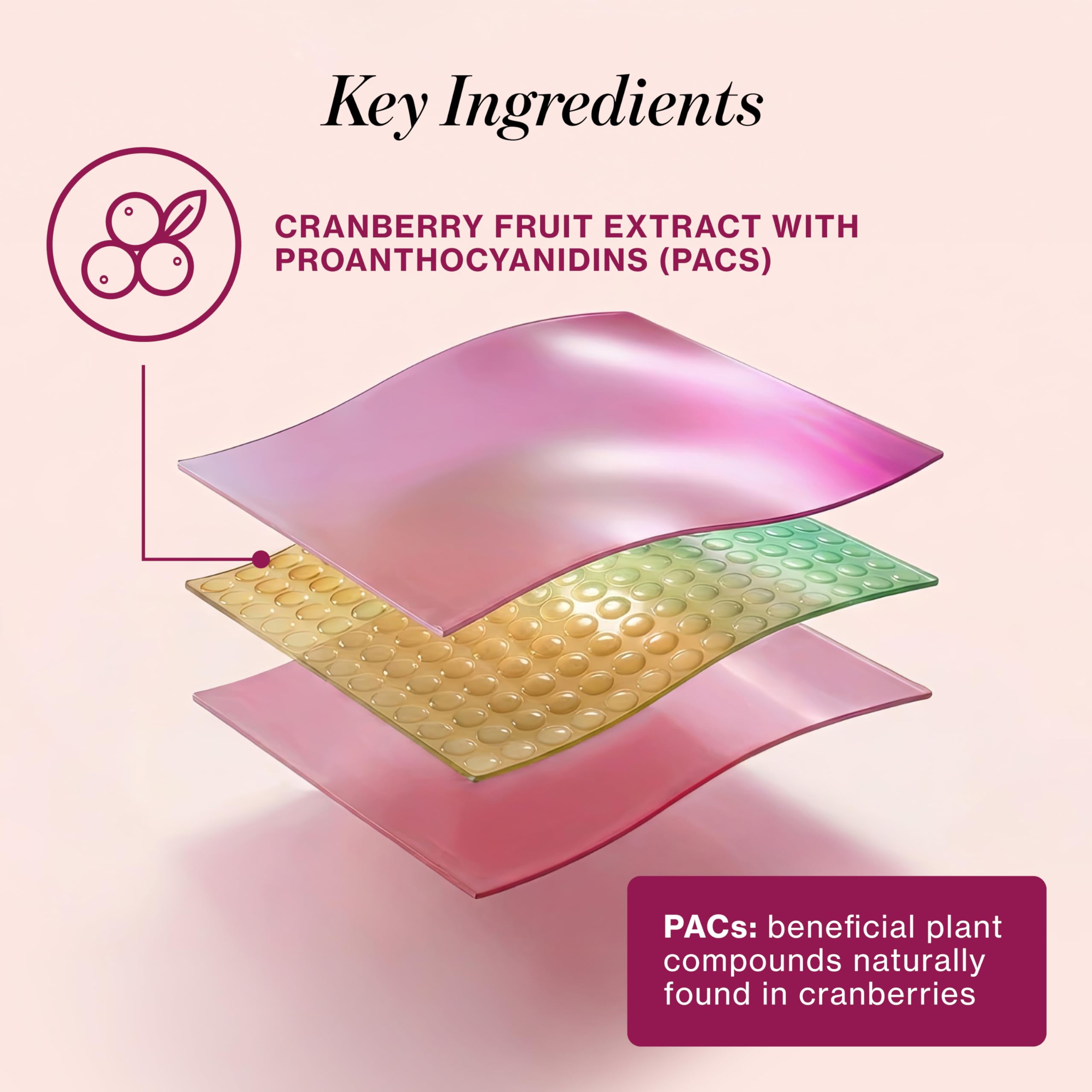 Love Wellness Urinary Tract* Quick Melt Strips - Fast-Dissolving UT Support with 36 mg PACs from Cranberry Fruit Extract - Promotes Urinary Health* - No Water Needed - Vegan and Sugar Free - 32 Strips Love WellnessAu supplements