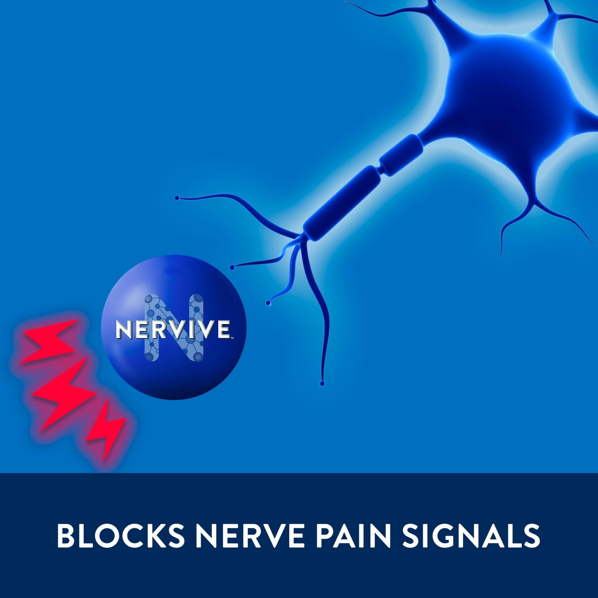 Nervive Pain Relieving Cream, Max Strength Non-Greasy Topical Pain Reliever with Lidocaine and Menthol for Toes, Feet, Fingers, Hands, Legs & Arms, 3.0oz NerviveAu supplements