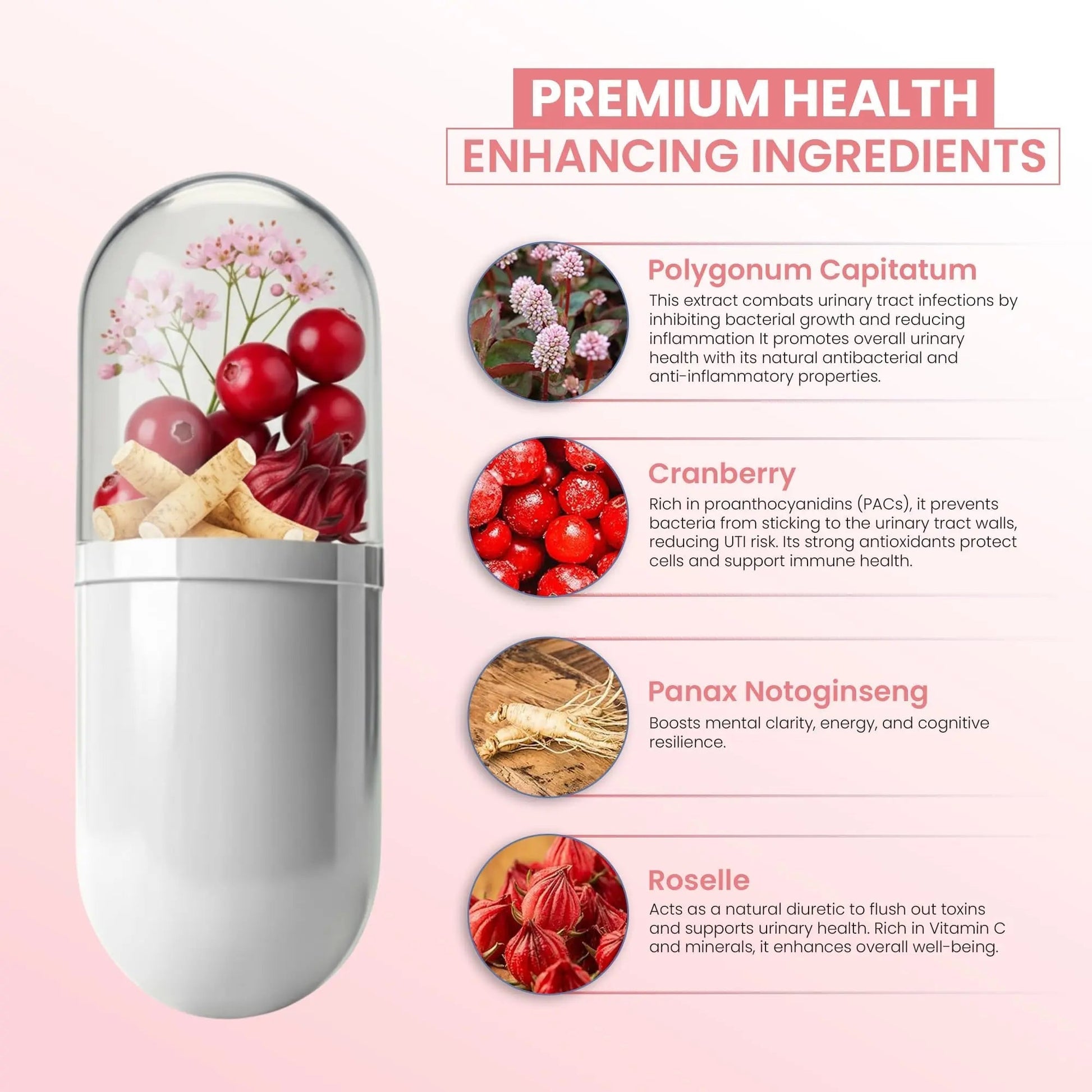 ZEN LIFE HERB UTFREx – Fast Acting - Promotes Urinary Tract Health Supports Healthy Immune and Urinary System, No Vitamins, Minerals, Prebiotics, Sugar, Plant-Based Supplement (60 Capsules) ZEN LIFE HERBAu supplements
