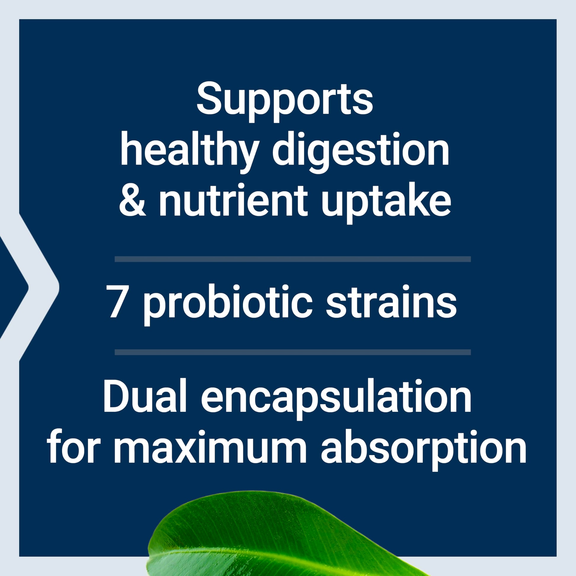 Life Extension FLORASSIST® Probiotic GI with Phage Technology, Digestive Health Supplement, microbiome Balance, Gut Health, Gluten Free, Vegetarian, 30 Capsules Life ExtensionAu supplements