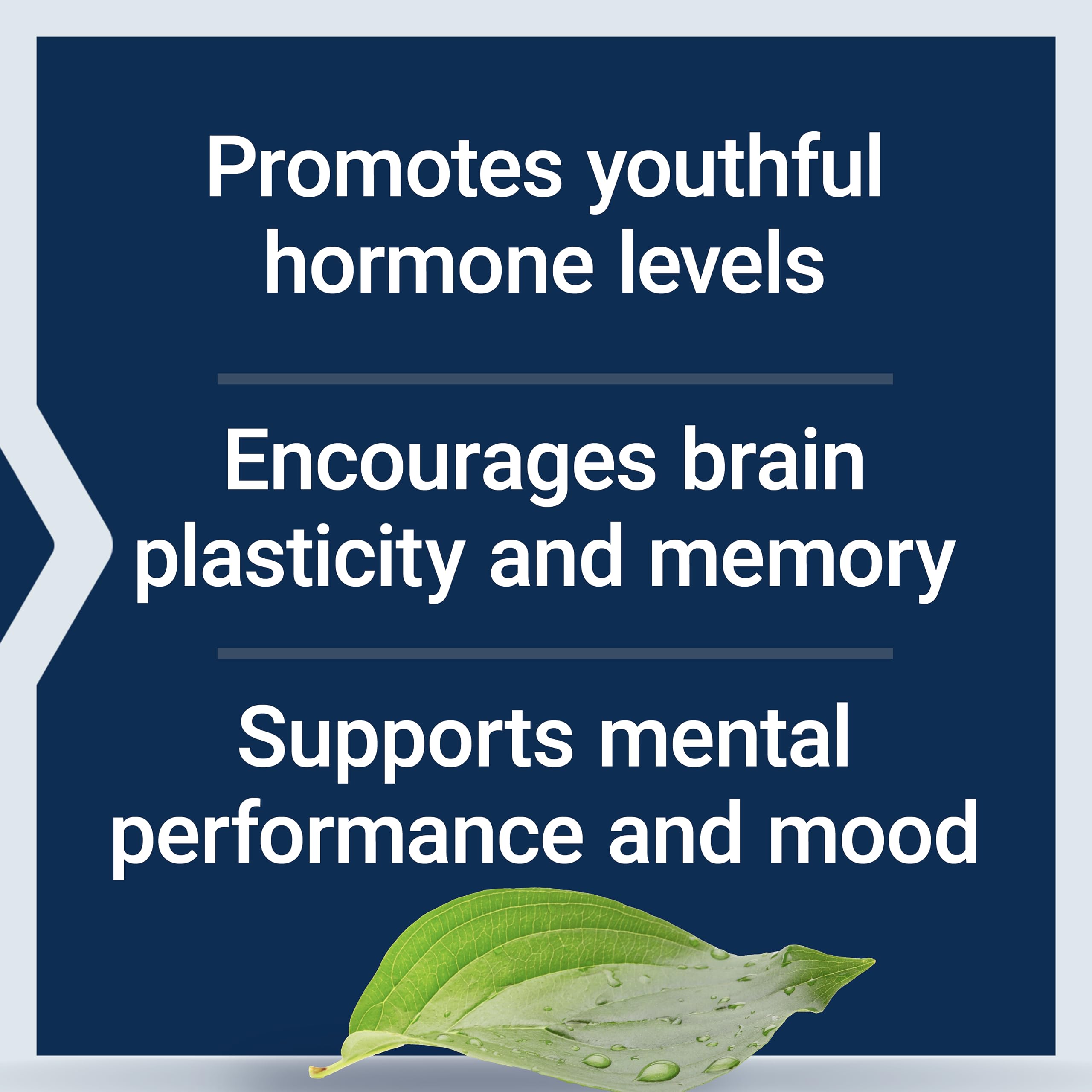 Life Extension Pregnenolone - Hormone Balance Supplement for Healthy Hormone Levels, 100 mg - Hormone Balance, Memory, Focus, Cognitive Health - Gluten-Free, Non-GMO, 100 Capsules Life ExtensionAu supplements