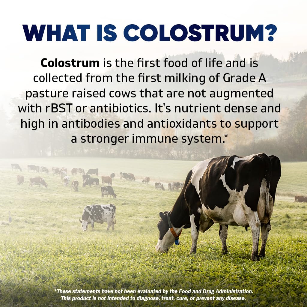 Vitamatic Bovine Colostrum 30% IgG Supplement 1500 mg per Serving - Supplement for Gut Health, Hair Growth, Beauty, Muscle Recovery, & Immune Support - 180 Veg Capsules VitamaticAu supplements