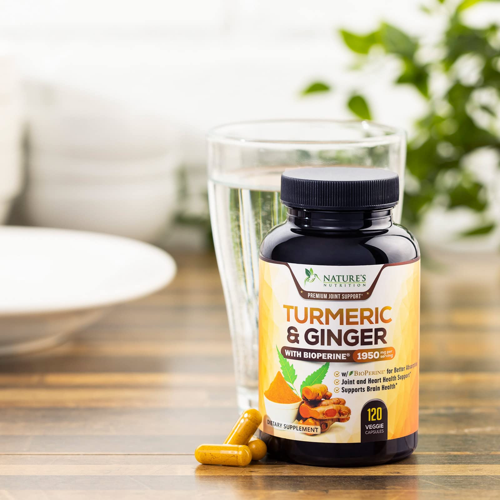 Turmeric Curcumin with BioPerine & Ginger 95% Standardized Curcuminoids Nature's NutritionUS supplements