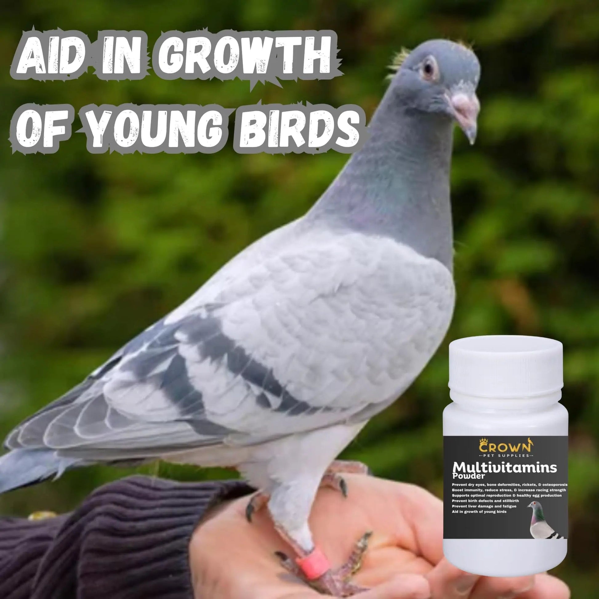 Multivitamin Powder for Pigeons – Ultimate Vitamin Formula for Racing & Breeding – Supports Growth, Bone Strength, Reproductive Health & Feather Health Crown Pet SuppliesAu supplements