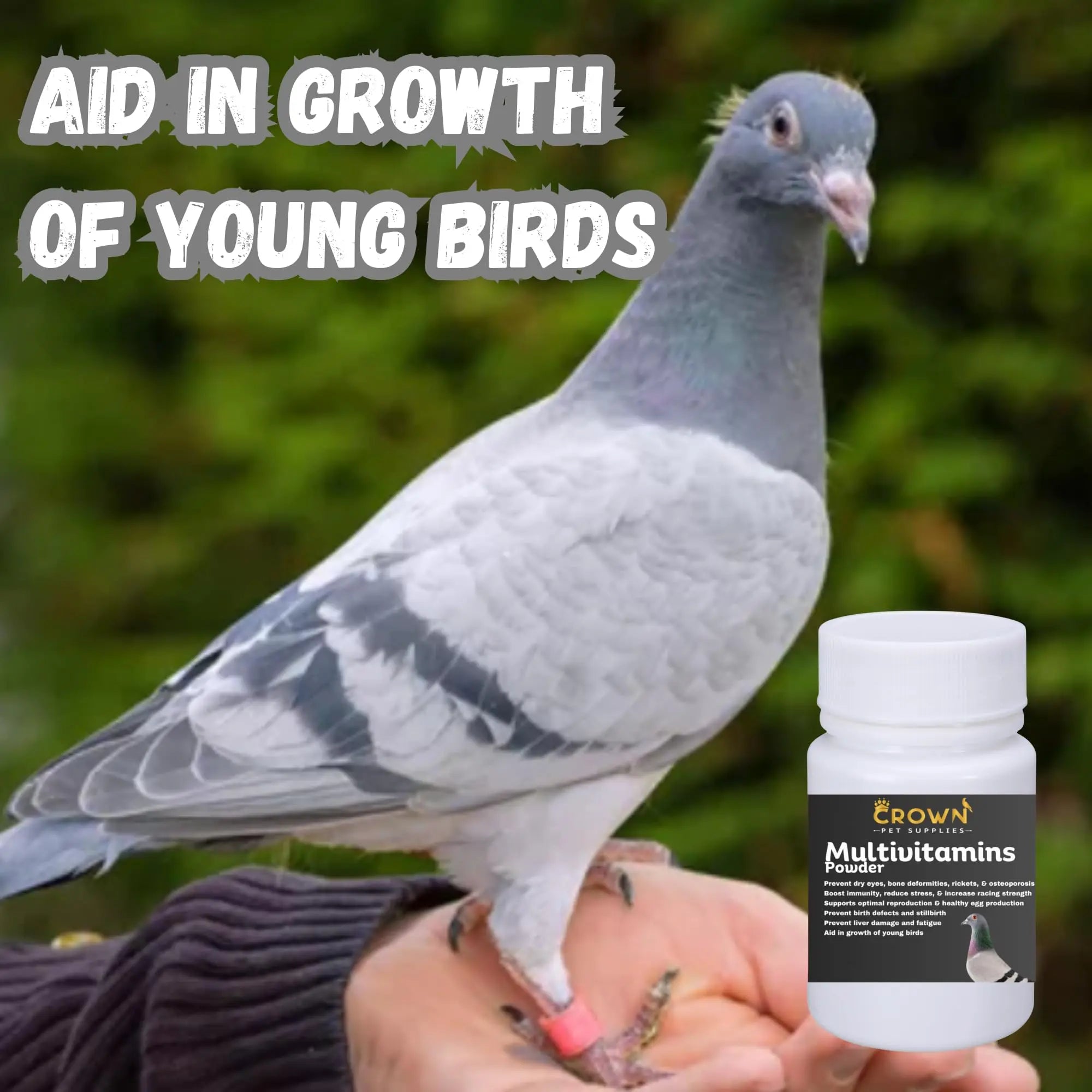 Multivitamin Powder for Pigeons – Ultimate Vitamin Formula for Racing & Breeding – Supports Growth, Bone Strength, Reproductive Health & Feather Health Crown Pet SuppliesAu supplements