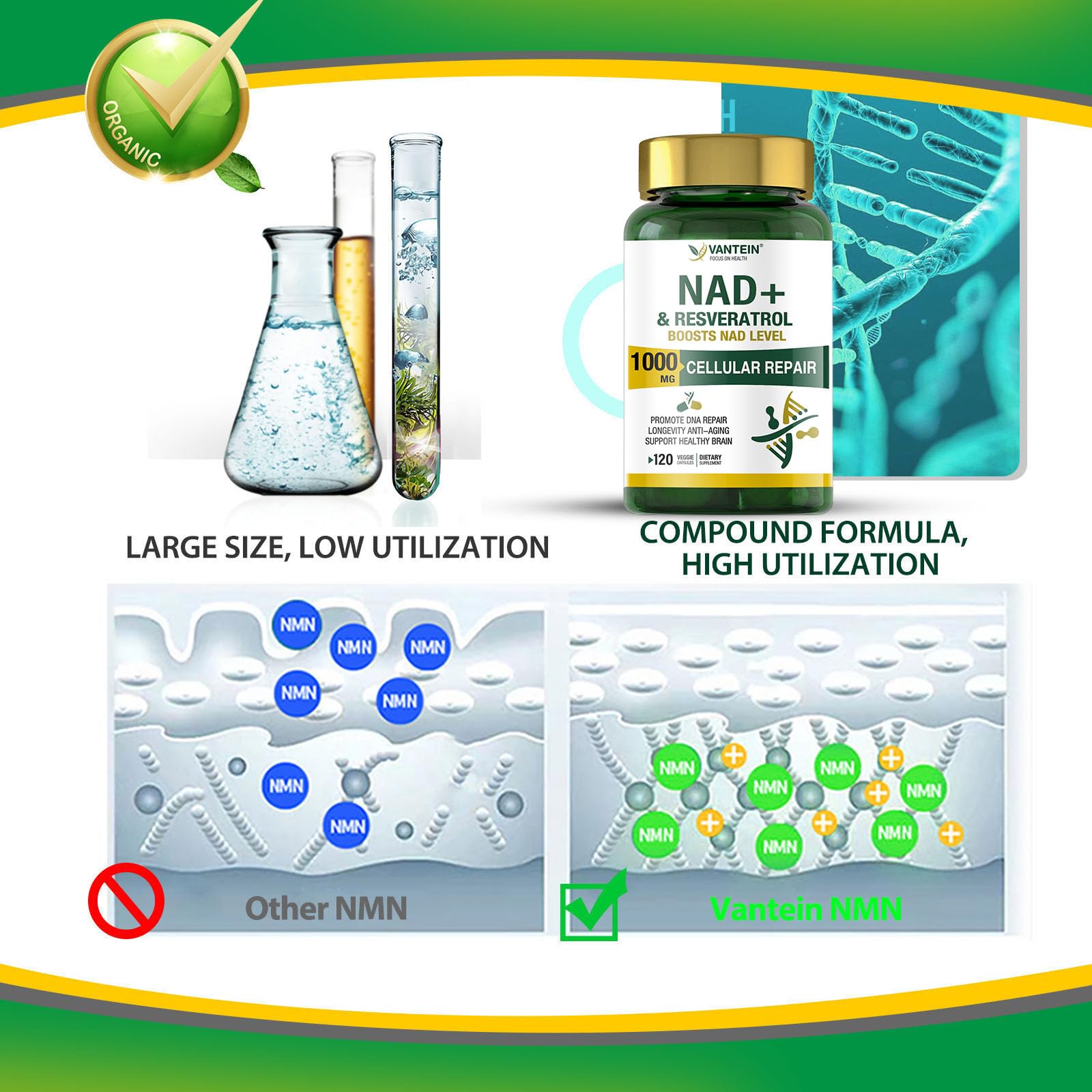TEATTY NAD+ & Resveratrol Supplement - NMN Alternative with 120 Capsules, Anti-Aging Cellular Support, Energy & Longevity Booster, DNA Repair Formula TEATTYAu supplements
