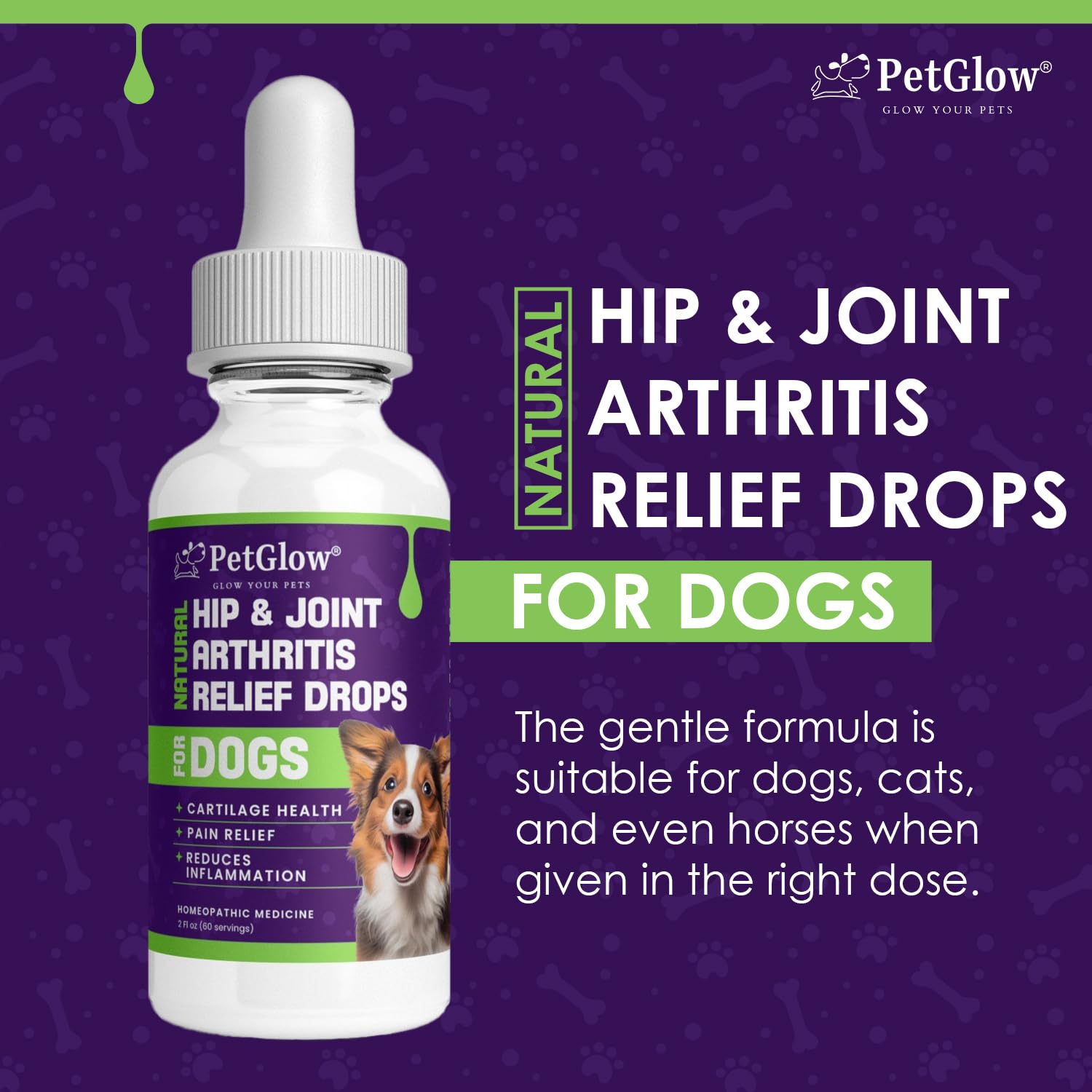 Petglow® Natural Hip & Joint Arthritis Relief Drops with Curcumin & Boswellia, Homeopathic Anti-Inflammatory Formula for Dogs, Cats & Horses, Supports Flexibility, Comfort & Mobility Naturally PetglowAu supplements
