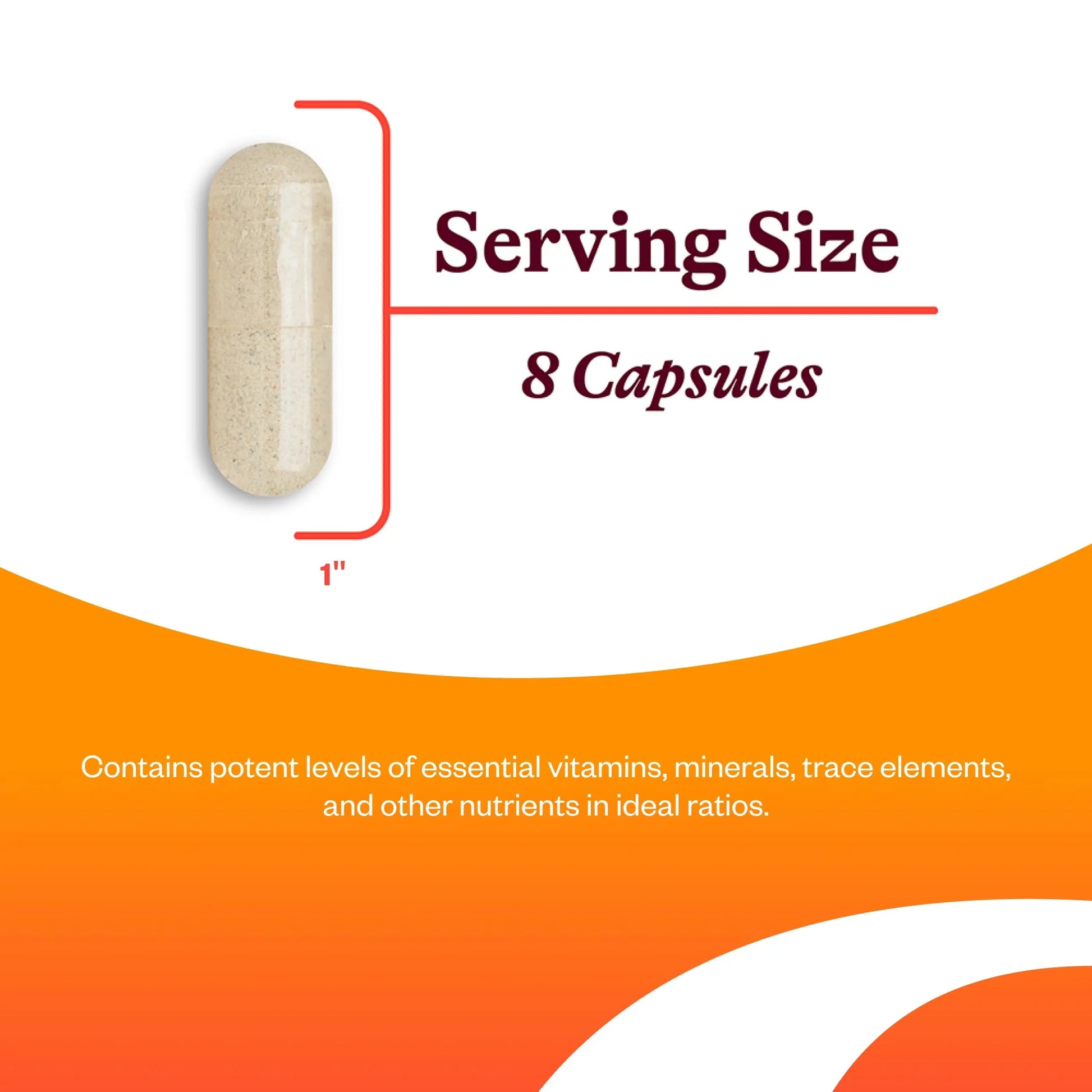 Seeking Health Optimal Multivitamin, Active B Vitamins and L-5-MTHF, Riboflavin, B6, Bioavailable Folate and B12, CoQ10 Seeking HealthAu supplements