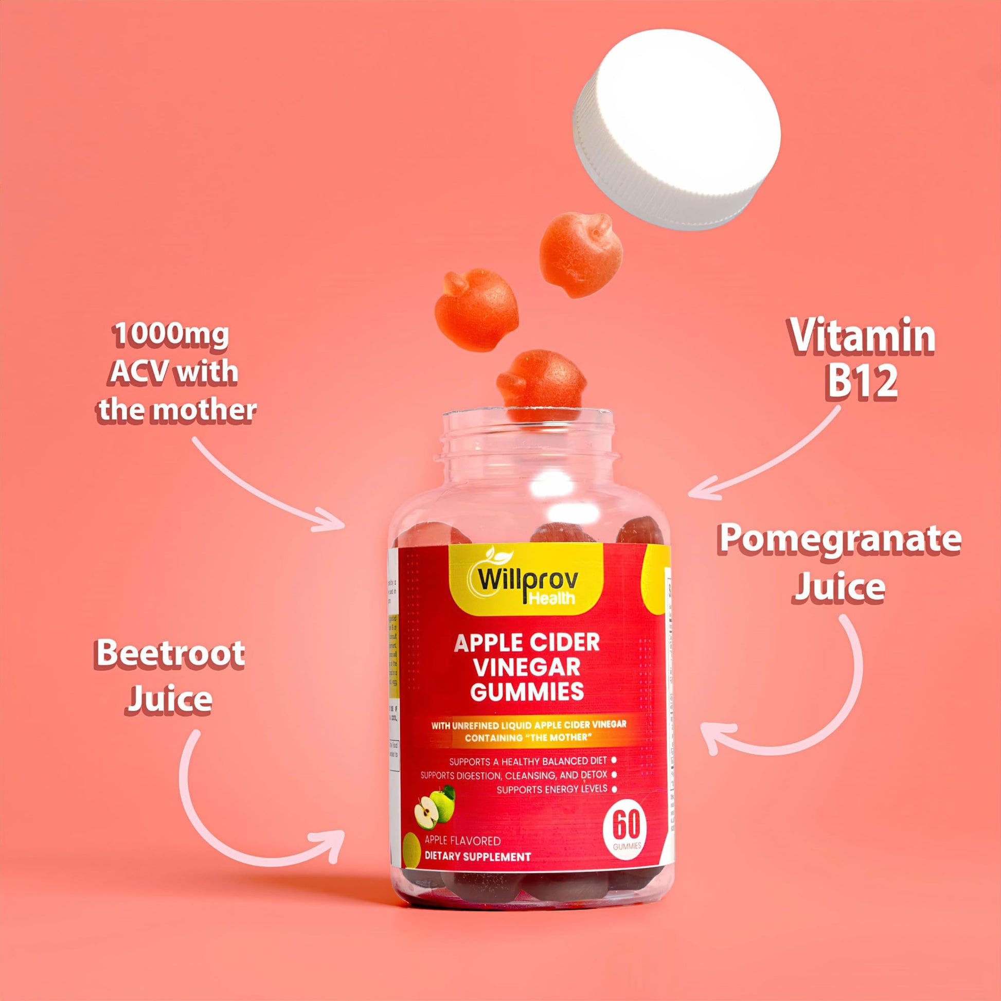 Willprov Health Apple Cider Vinegar Gummies - 1000mg ACV with Mother for Metabolism Willprov HealthUS supplements