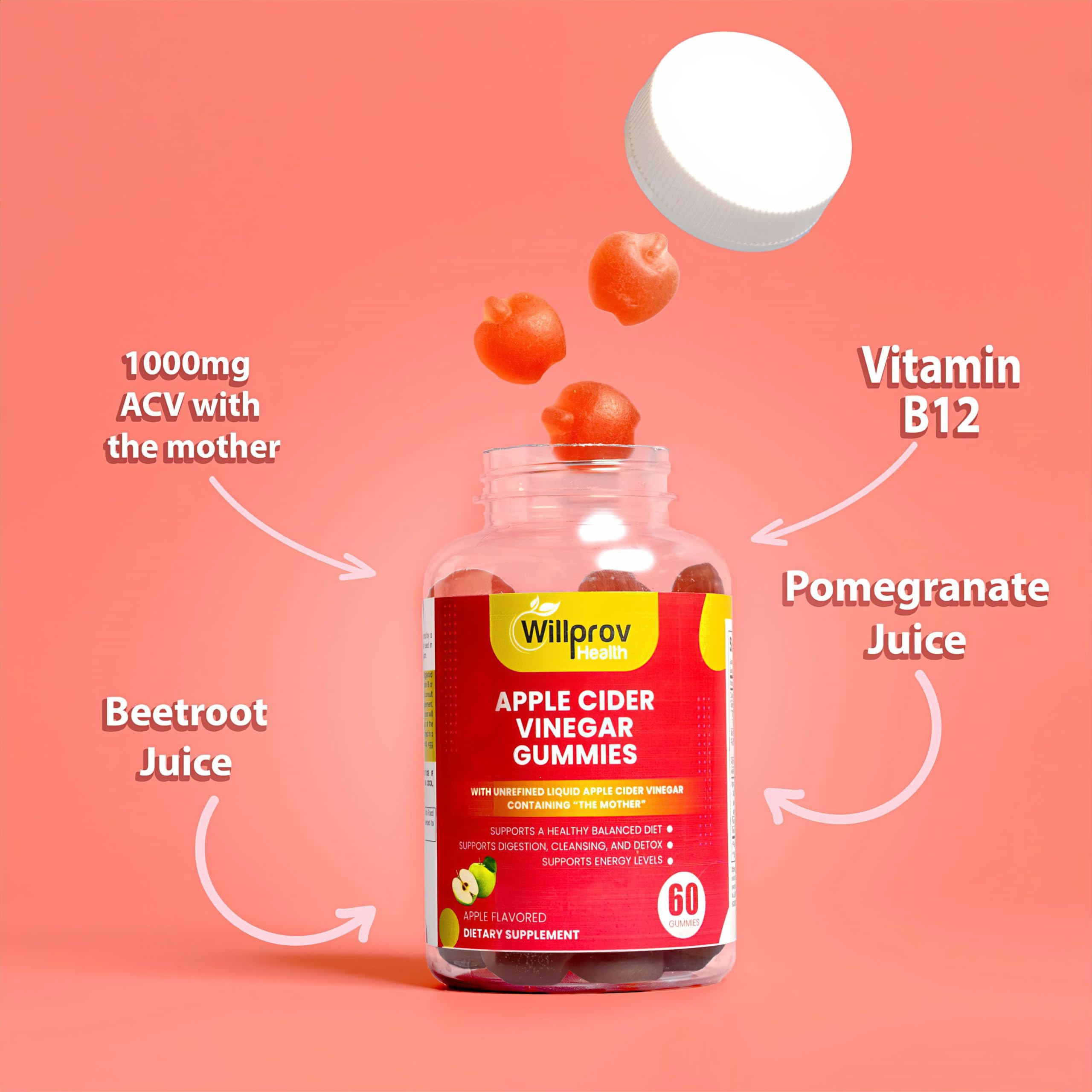 Willprov Health Apple Cider Vinegar Gummies - 1000mg ACV with Mother for Metabolism Willprov HealthUS supplements
