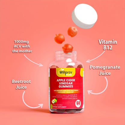 Willprov Health Apple Cider Vinegar Gummies - 1000mg ACV with Mother for Metabolism Willprov HealthUS supplements