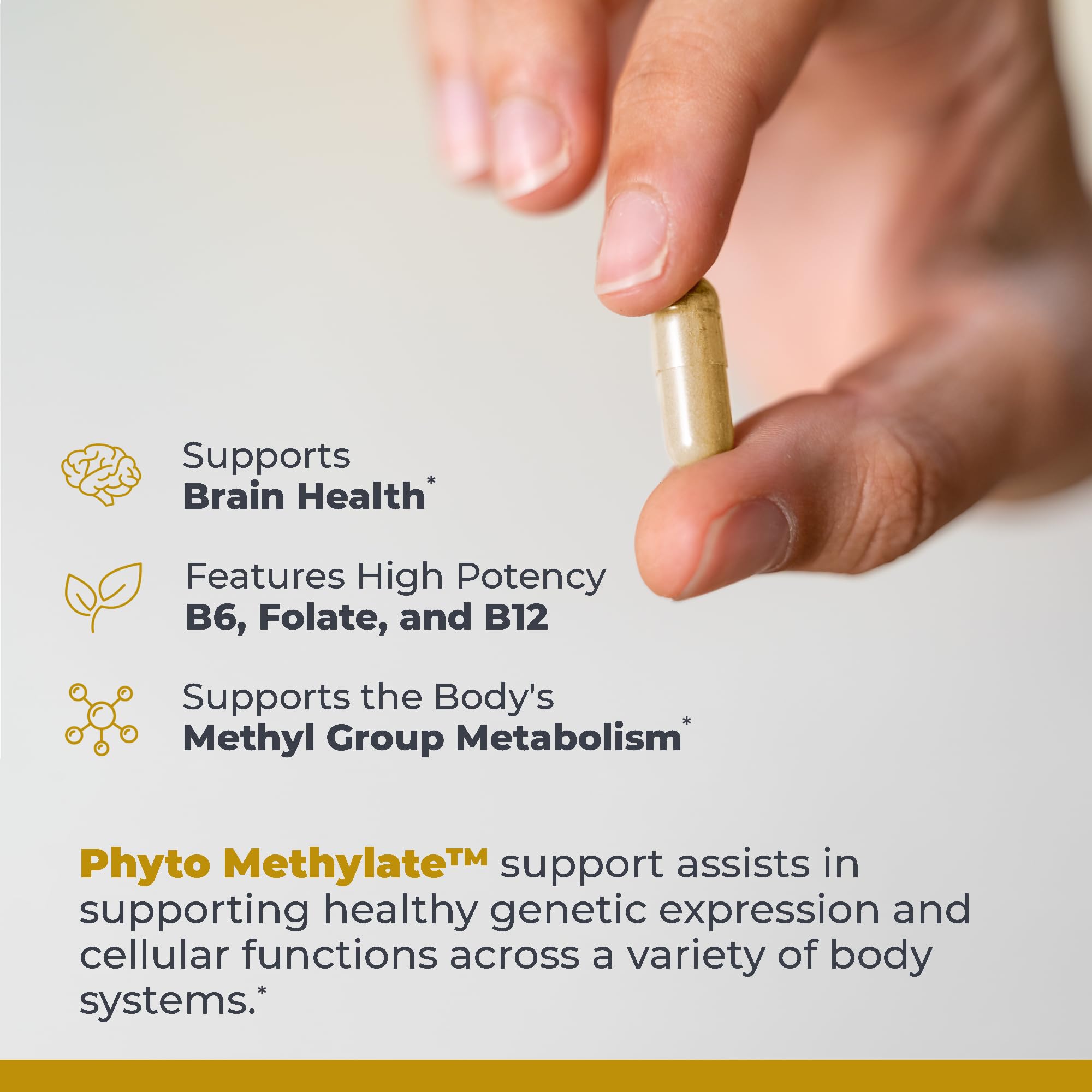 Premier Research Labs Phyto Methylate - B Vitamin Supplement - Supports Methylation, Detox, Brain & Heart Health - 5-MTHF & P5P - 60 Plant-Source Capsules Premier Research LabsAu supplements