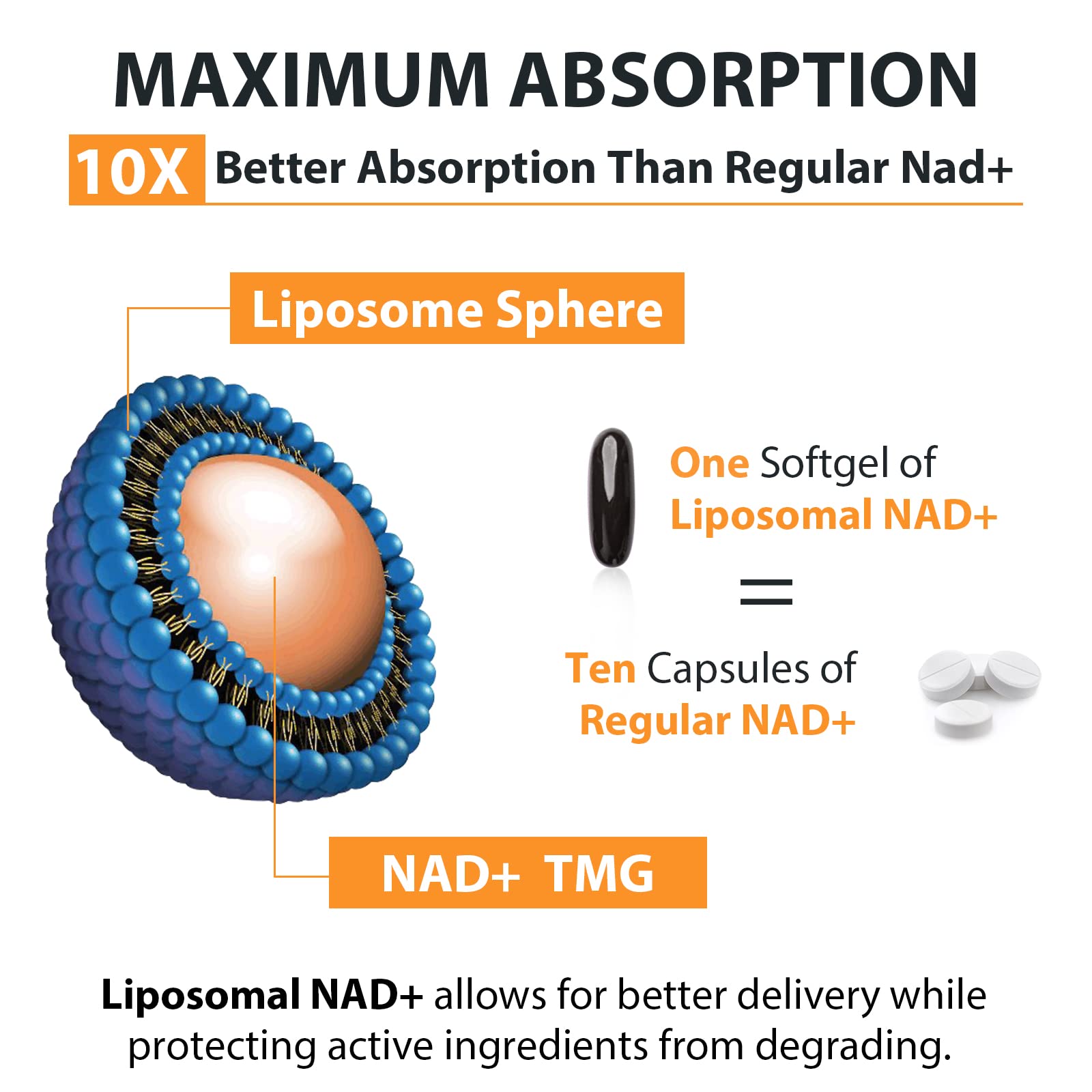 Orgabay Liposomal NAD+ Supplement 500 mg, High Absorption, Boost NAD+ with TMG 250 mg, Actual NAD Plus More Efficient Than Nicotinamide Riboside, Support Cellular Energy, Healthy Aging | 180 Softgels OrgabayAu supplements