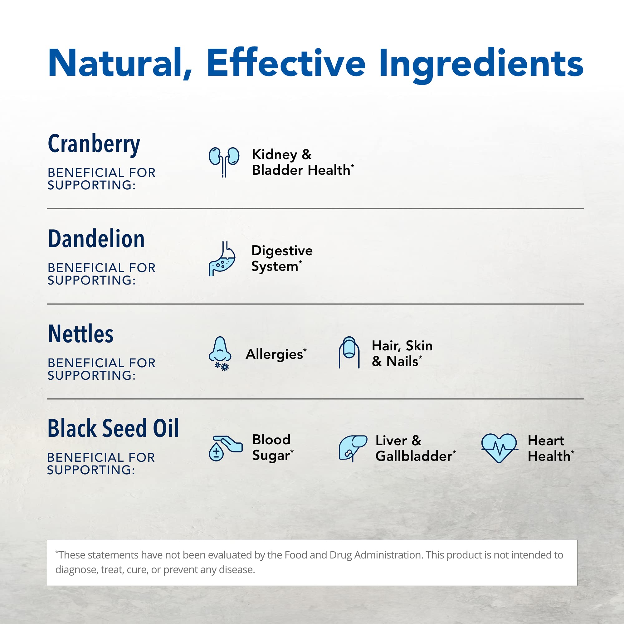 NORTH AMERICAN HERB & SPICE Total Body Purge - 12 fl. oz. - Raw Whole Body Formula - Builds Healthy & Nutritious Diet - Contains Natural Source Phenols, Vitamins, & Minerals - 12 Servings NORTH AMERICAN HERB & SPICEAu supplements
