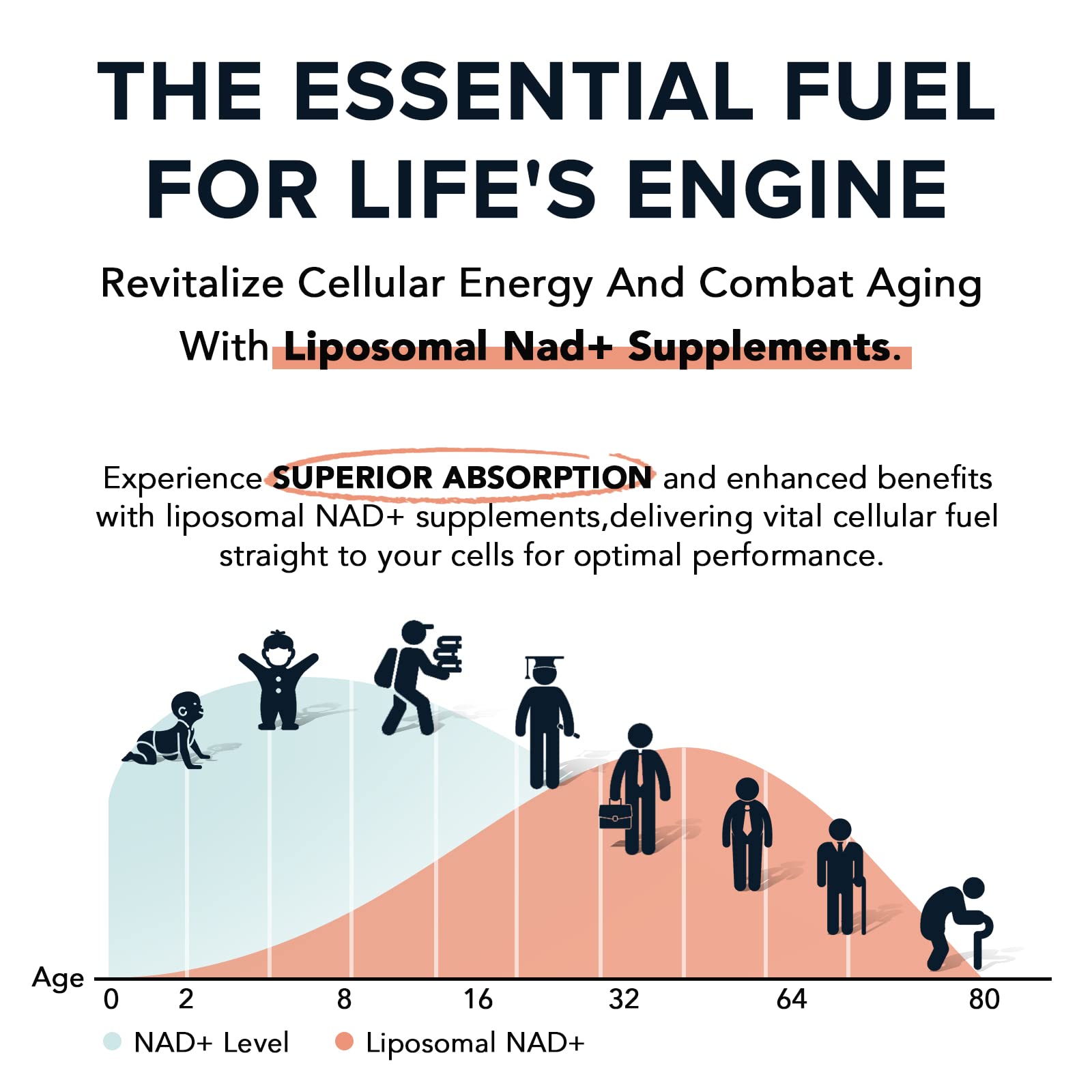Fabamax 1600 mg Liposomal NAD Supplement, 98% Pure NAD+ Supplement, Superior Absorption, Alternative to Nicotinamide Riboside or NADH to Boost NAD+ for Aging Defense, Energy, Longevity, 120 Softgels FabamaxAu supplements