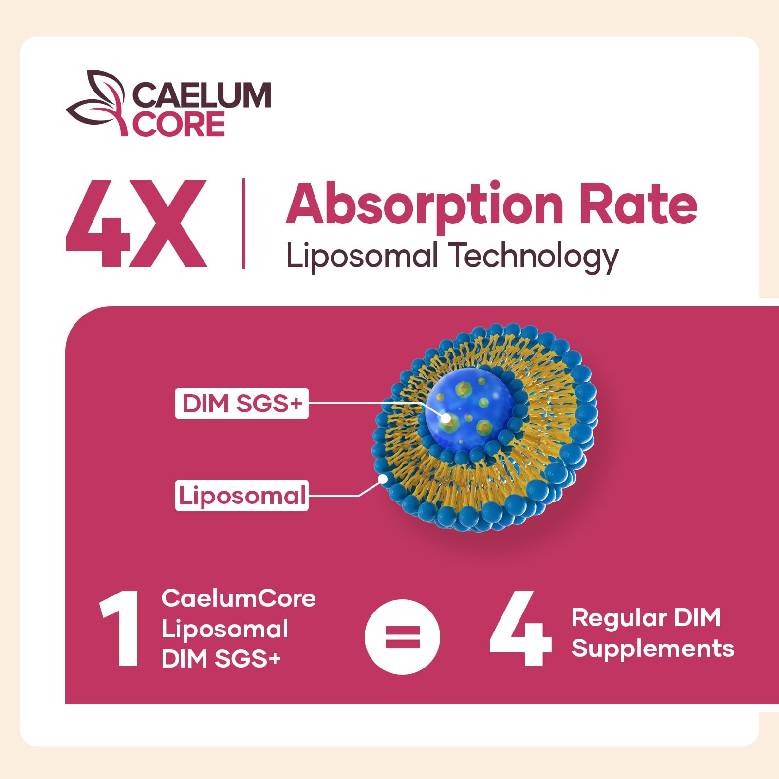 CEALMU CORE Liposomal DIM SGS Supplement - Estrogen Supplements for Women & Men Contains Sulforaphane Glucosinolate, Vitamin E, Pomegranate Fruit - Support Detox and Antioxidant (1 Pack) CEALMU COREAu supplements