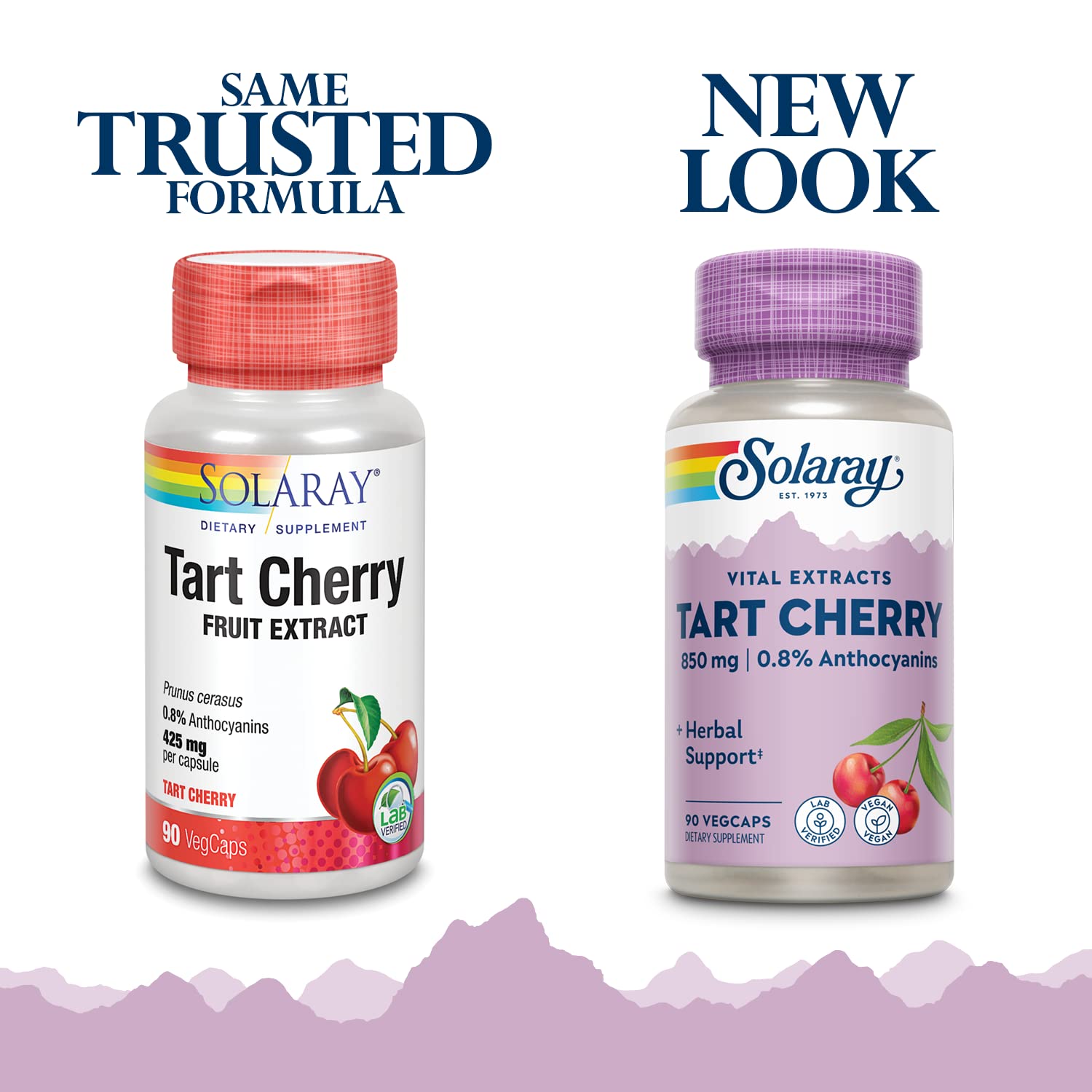 Solaray Tart Cherry Fruit Extract 850 mg - Tart Cherry Supplement with Antioxidants, Fruit Juice Extract with Flavonoids - 90 VegCaps SOLARAYAu supplements
