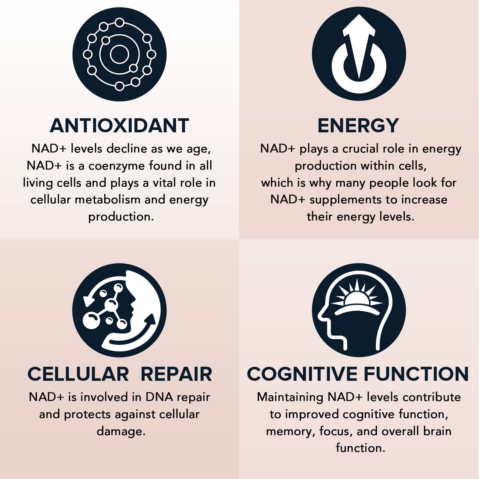 Fabamax 1600 mg Liposomal NAD Supplement, 98% Pure NAD+ Supplement, Superior Absorption, Alternative to Nicotinamide Riboside or NADH to Boost NAD+ for Aging Defense, Energy, Longevity,60 Softgels FabamaxAu supplements