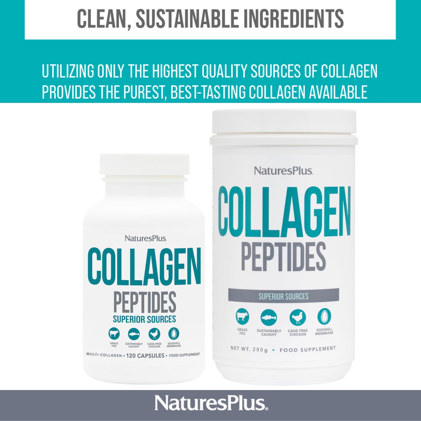 NaturesPlus Collagen Peptides Powder - Premium Hydrolysed Collagen Supplement, 6 Major Types Nature's PlusUS supplements
