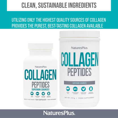 NaturesPlus Collagen Peptides Powder - Premium Hydrolysed Collagen Supplement, 6 Major Types Nature's PlusUS supplements