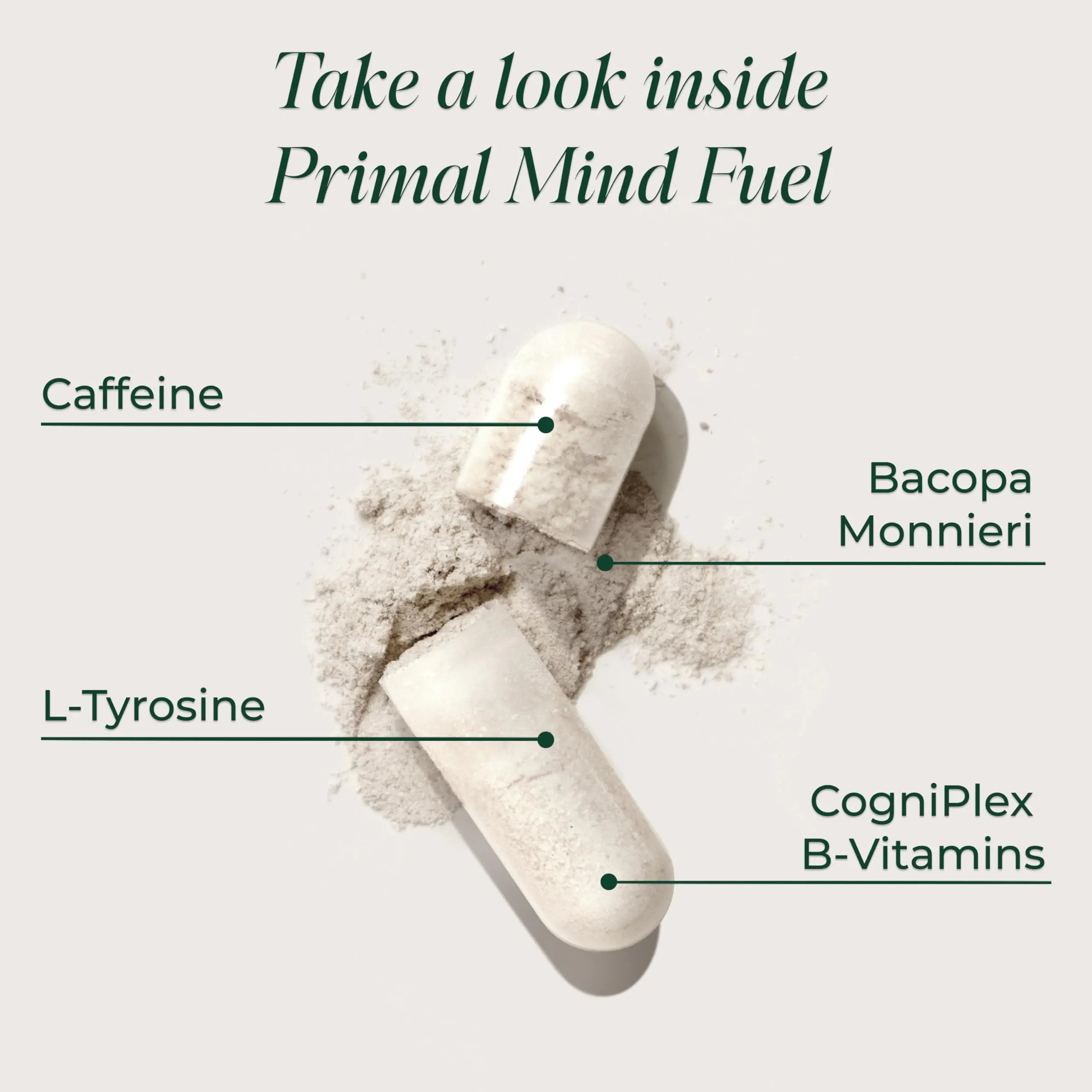 Brain Supplement by Primal Harvest, Primal Mind Fuel Brain Booster for Focus, Energy, Clarity, and Brain Health 30 Capsules Nootropics Brain Support Supplement for Men and Women Primal HarvestAu supplements