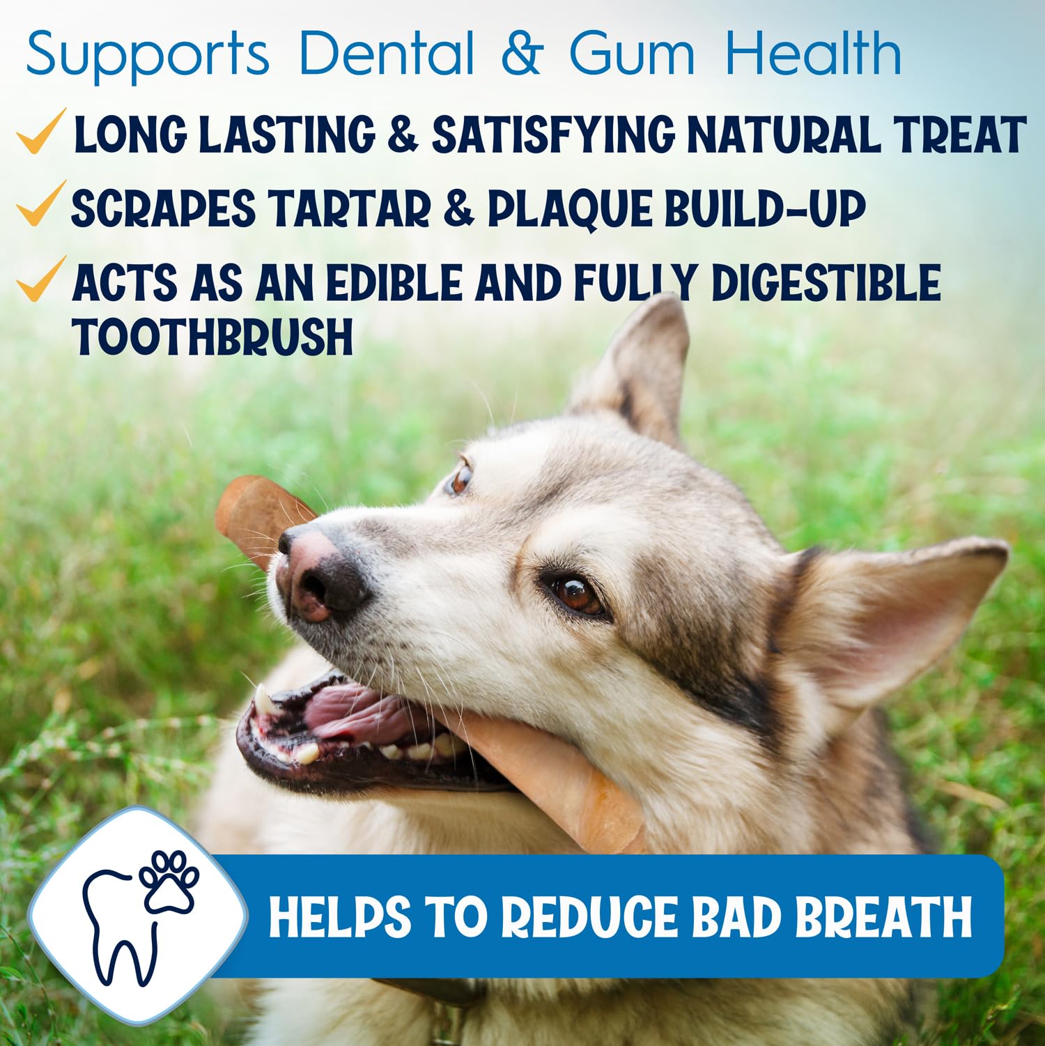 FETCHERONI 6" Collagen Sticks for Dogs – Low Odor Long-Lasting Bully Stick & Rawhide Alternative, Single Ingredient Beef Bone, High Protein Dental Treat, Vet Approved, Improves Joint Health – 5 Pack FETCHERONIAu supplements