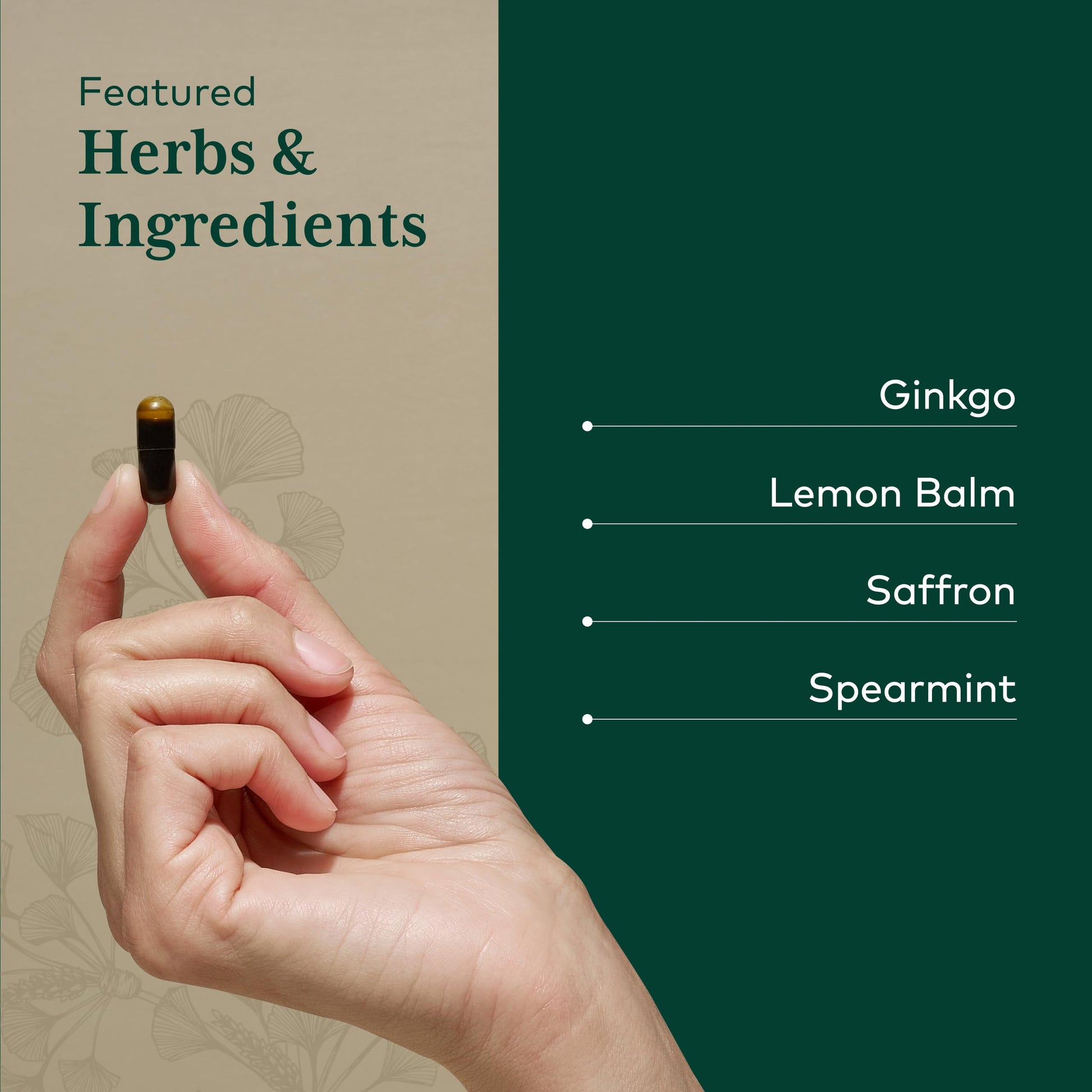 GAIA HERBS PRO Nootropic Focus - Brain Health Support Supplement* - Nootropic Supplement with Saffron, Ginkgo Leaf Extract & Lemon Balm - Vegan, Gluten-Free - 40 Liquid Phyto-Caps (20 Servings) Gaia Herbs PROAu supplements