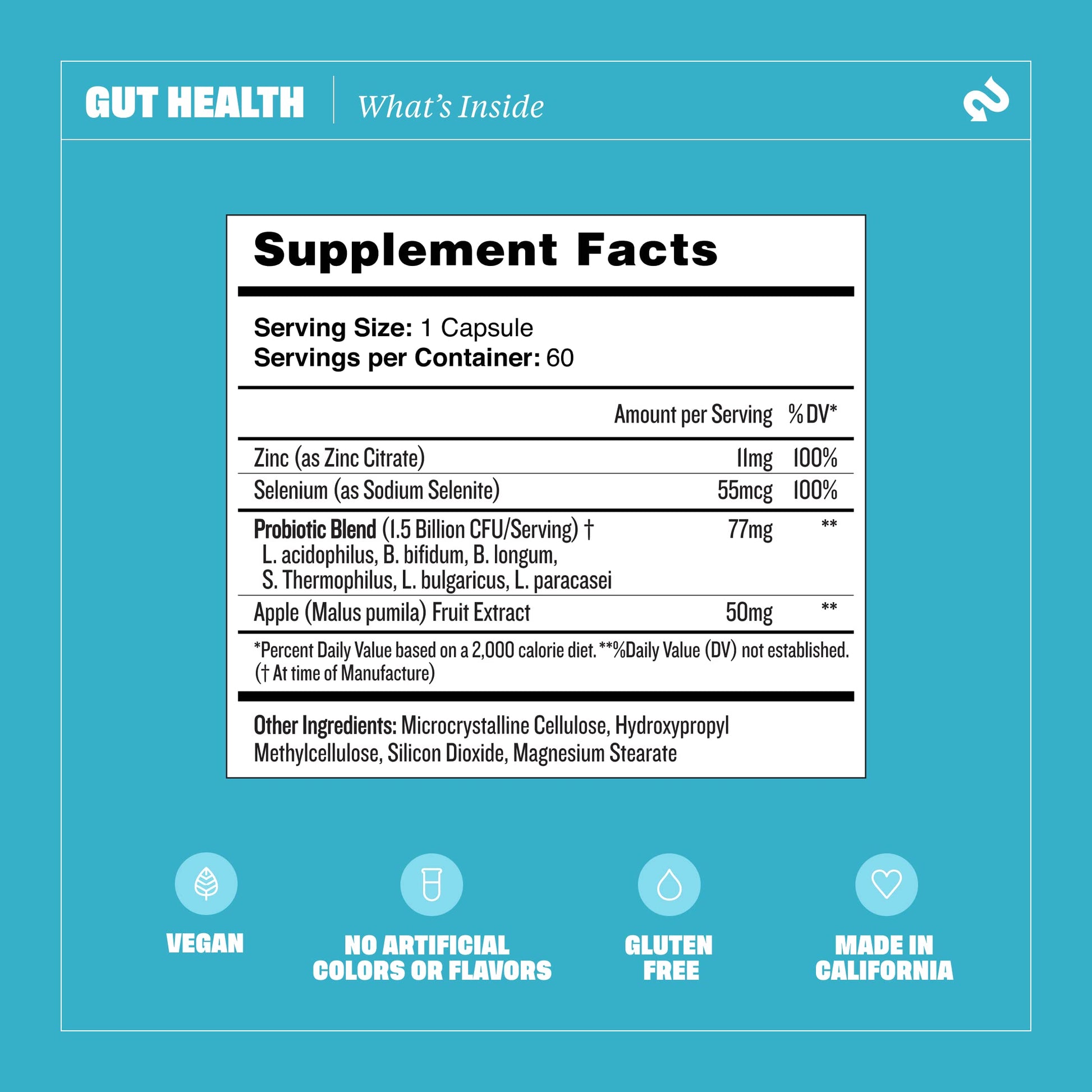 Health By Habit Gut Health Supplement (60 Capsules) - Contains 1.5 Billion probiotic Health By HabitAu supplements