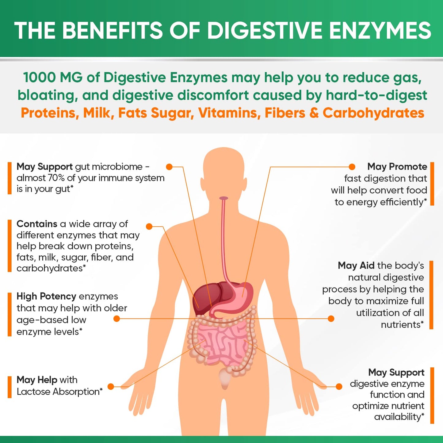 Wholesome Wellness Digestive Enzymes 1000MG Plus Prebiotics & Probiotics Supplement, 180 Capsules, Organic Plant-Based Vegan Formula for Digestion Wholesome WellnessUS supplements