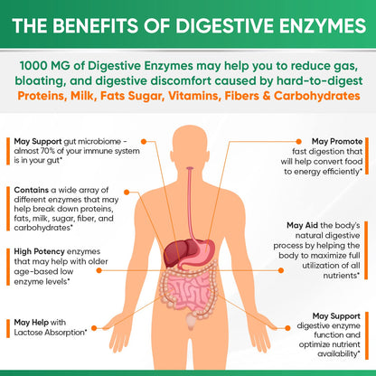 Wholesome Wellness Digestive Enzymes 1000MG Plus Prebiotics & Probiotics Supplement, 180 Capsules, Organic Plant-Based Vegan Formula for Digestion Wholesome WellnessUS supplements