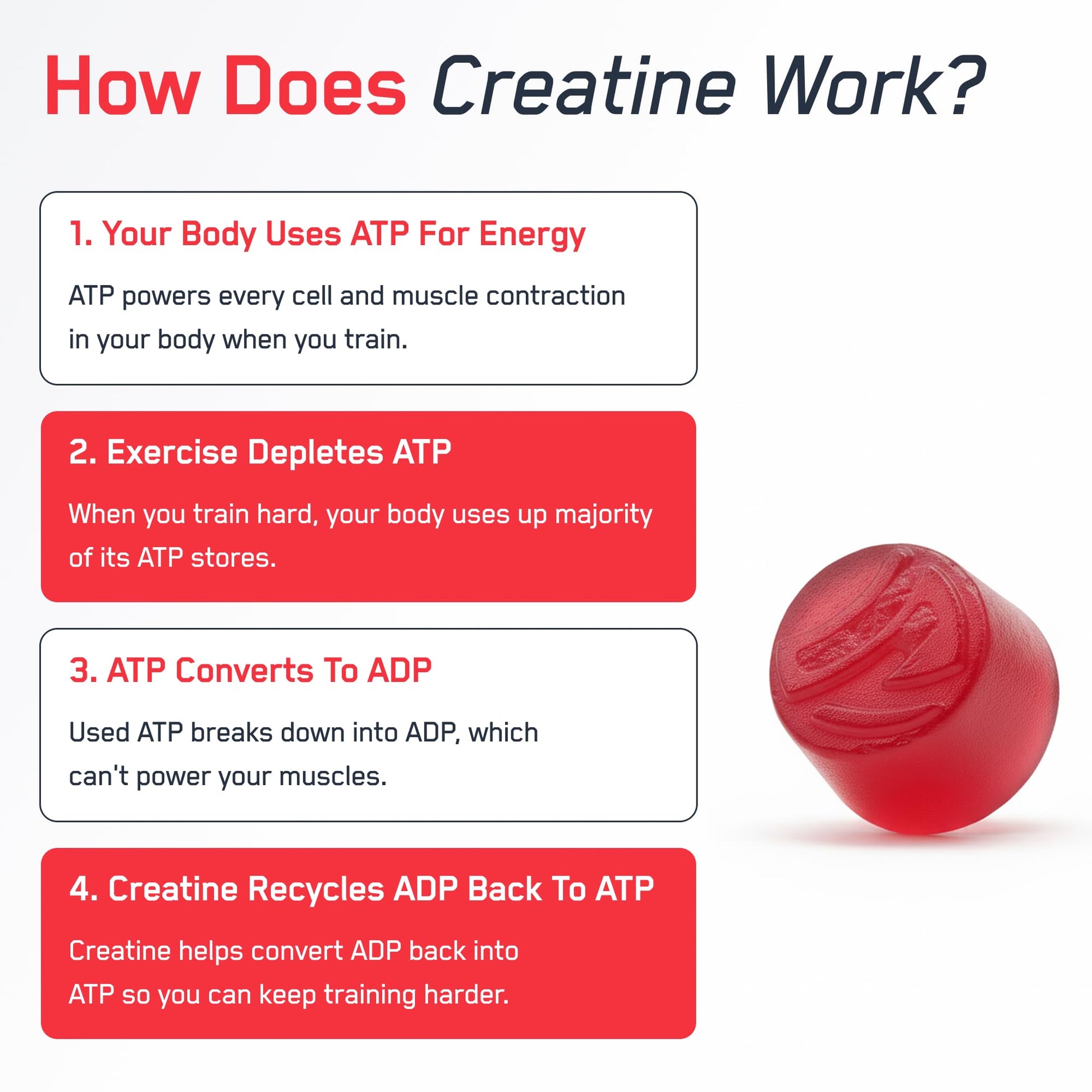 SteelFit Creapure Creatine Monohydrate Gummies for Men & Women, Juicy Watermelon - Gym Workout Nutritional Supplements for Muscle Gain, Brain Health & Strength Building Dietary Supplement, 120 Gummies SteelFitAu supplements