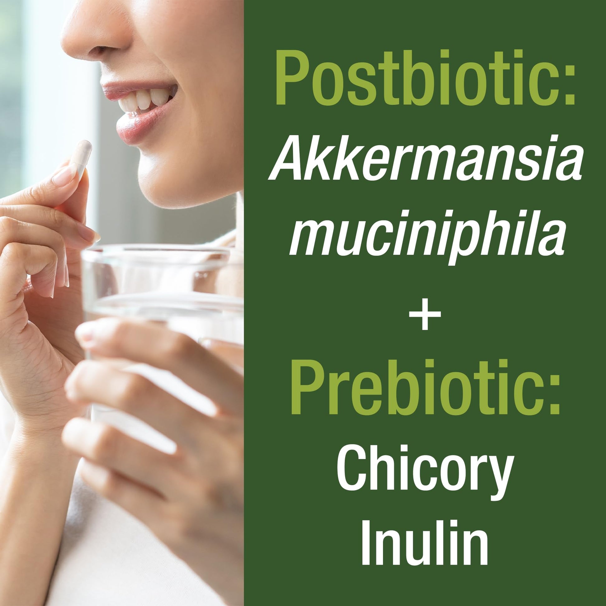 Akkermansia Probiotic to Increase GLP-1 Production. Ultra High Strength Akkermansia Muciniphila Live Strain with Prebiotic Fiber for Gut Health & Microbiome Balance. Delayed Release, 3rd Party Tested Peak PerformanceAu supplements