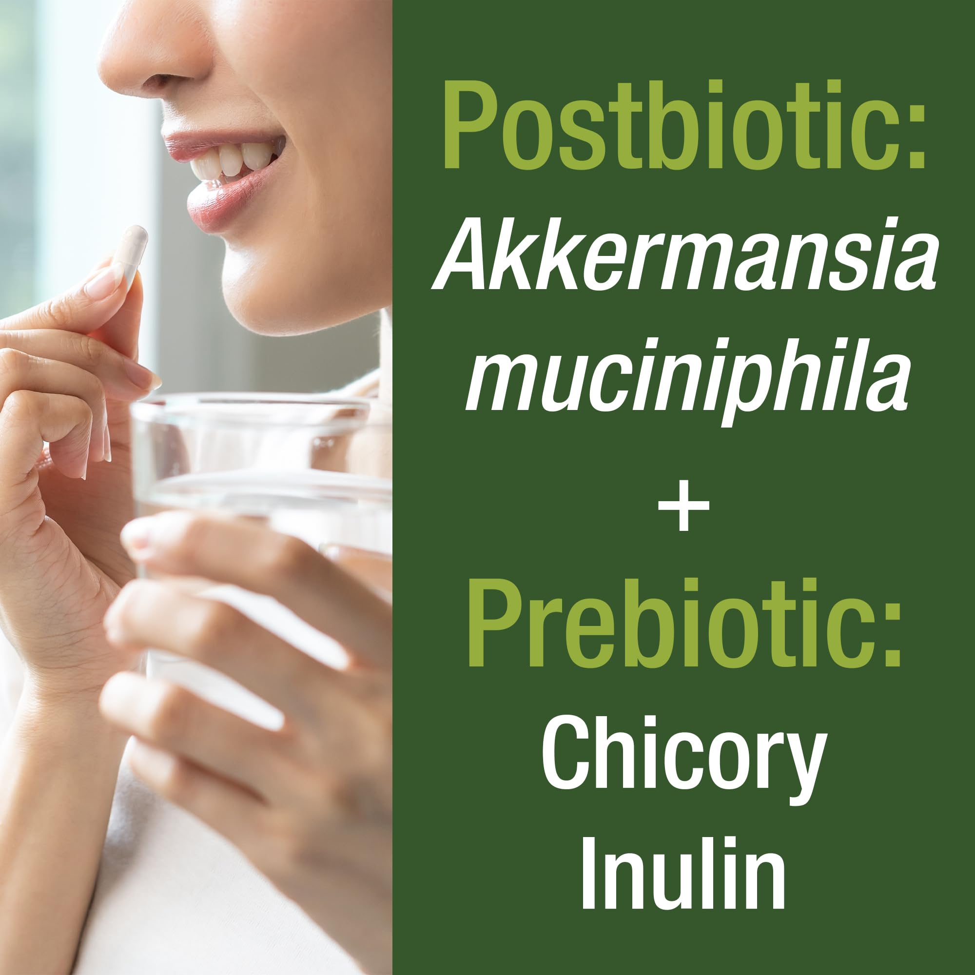 Akkermansia Probiotic to Increase GLP-1 Production. Ultra High Strength Akkermansia Muciniphila Live Strain with Prebiotic Fiber for Gut Health & Microbiome Balance. Delayed Release, 3rd Party Tested Peak PerformanceAu supplements