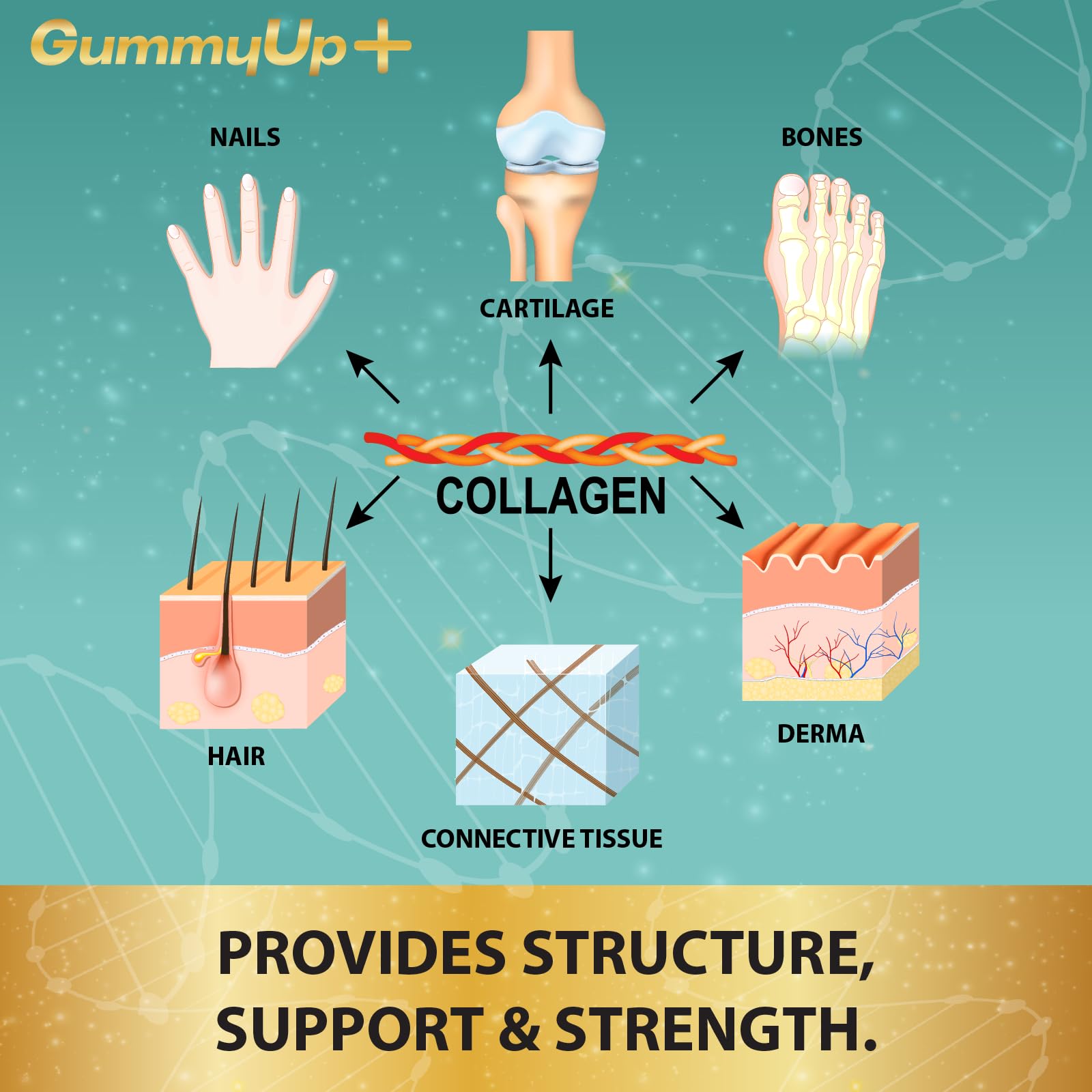 Hydrolysed Collagen Gummies with Biotin, 60 Sugar Free Natural Pineapple Flavoured Gummies ZA ZACANNAAu supplements