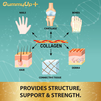Hydrolysed Collagen Gummies with Biotin, 60 Sugar Free Natural Pineapple Flavoured Gummies ZA ZACANNAUS supplements
