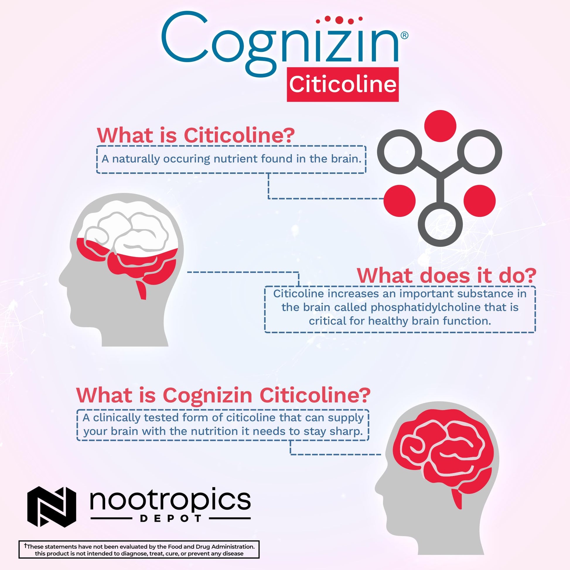 Nootropics Depot Cognizin Citicoline Capsules | 60 Count | Choline Supplement | Brain Health Supplement | Regulates Memory and Cognitive Function | Supports Attention, Focus and Recall Nootropics DepotAu supplements