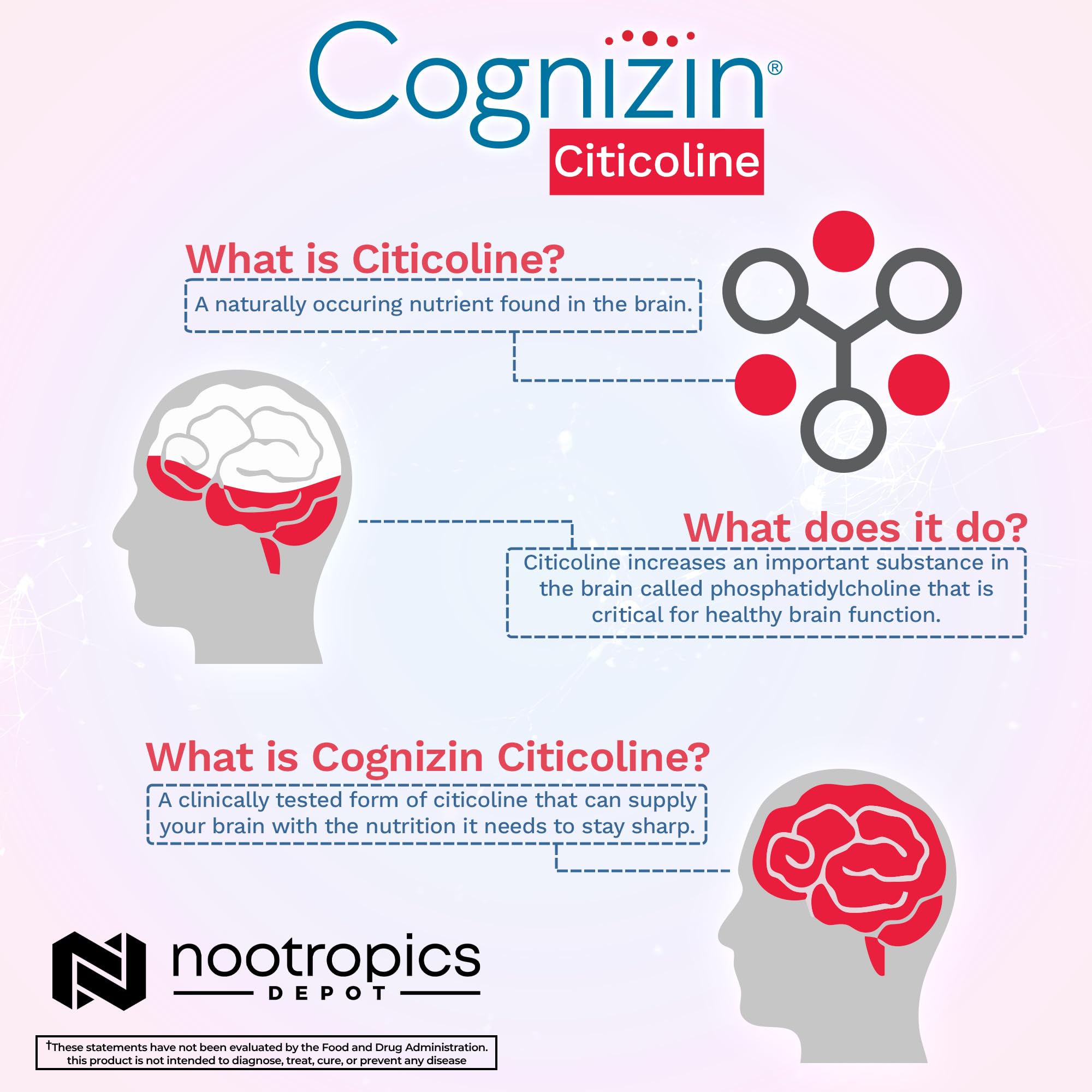 Nootropics Depot Cognizin Citicoline Capsules | 60 Count | Choline Supplement | Brain Health Supplement | Regulates Memory and Cognitive Function | Supports Attention, Focus and Recall Nootropics DepotAu supplements