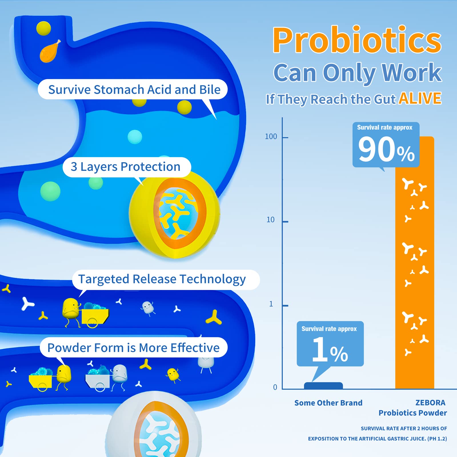 ZEBORA Probiotics for Women, Men and Kids, Prebiotics and Probiotics Powder ZEBORAAu supplements