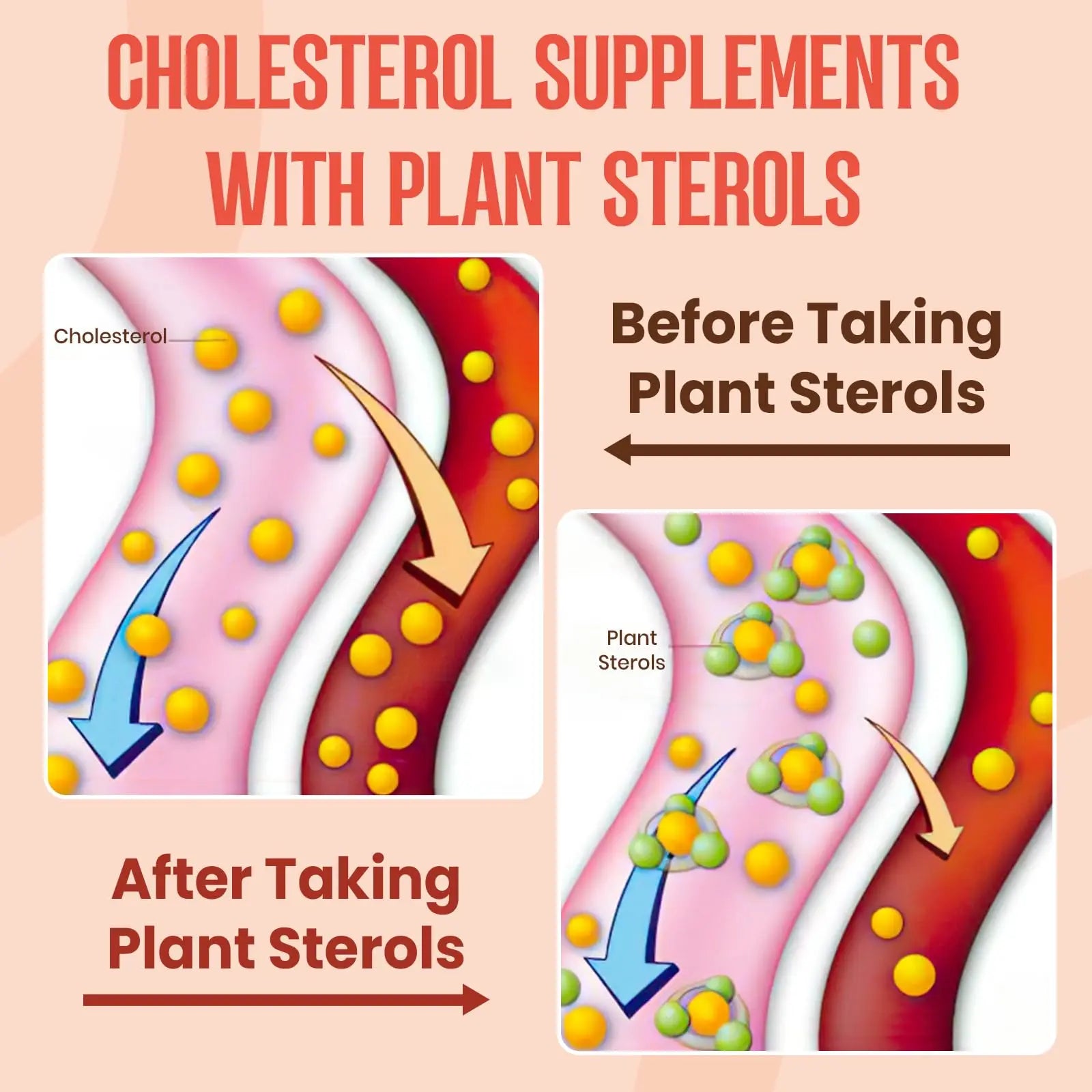 Glorithiventa Cholesterol & Booty Gummies Supplement Bundle - Plant Sterols & Stanols + CurvaBoost BBL Herb Blend & Creatine Monohydrate - Cholesterol Normal Level, Booty, Curves & Energy Glorithiventanz supplements