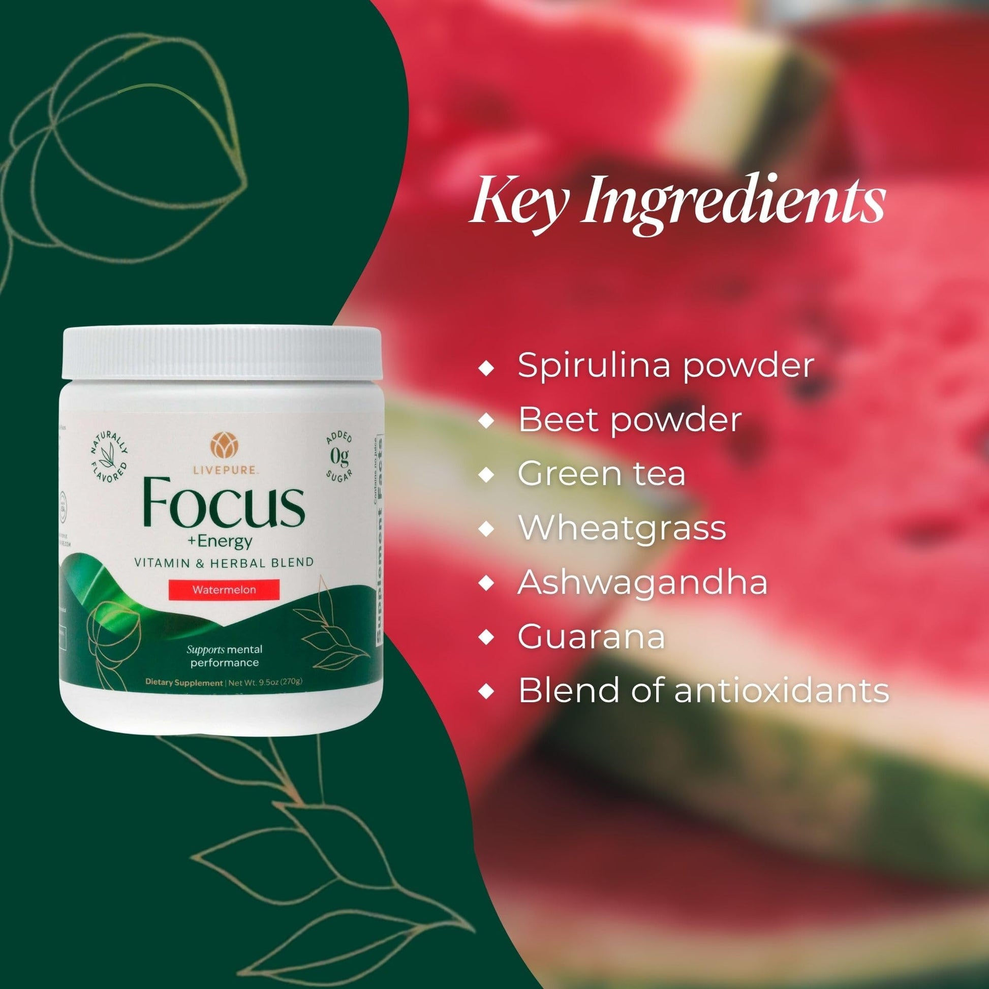 PURE Focus + Energy Tub Drink Mix | Natural Caffeine & Antioxidants from Botanicals | Supports Alertness, Clarity & Energy | Zero Sugar, No Artificial Sweeteners | 9.5 oz | Watermelon Flavor PUREAu supplements