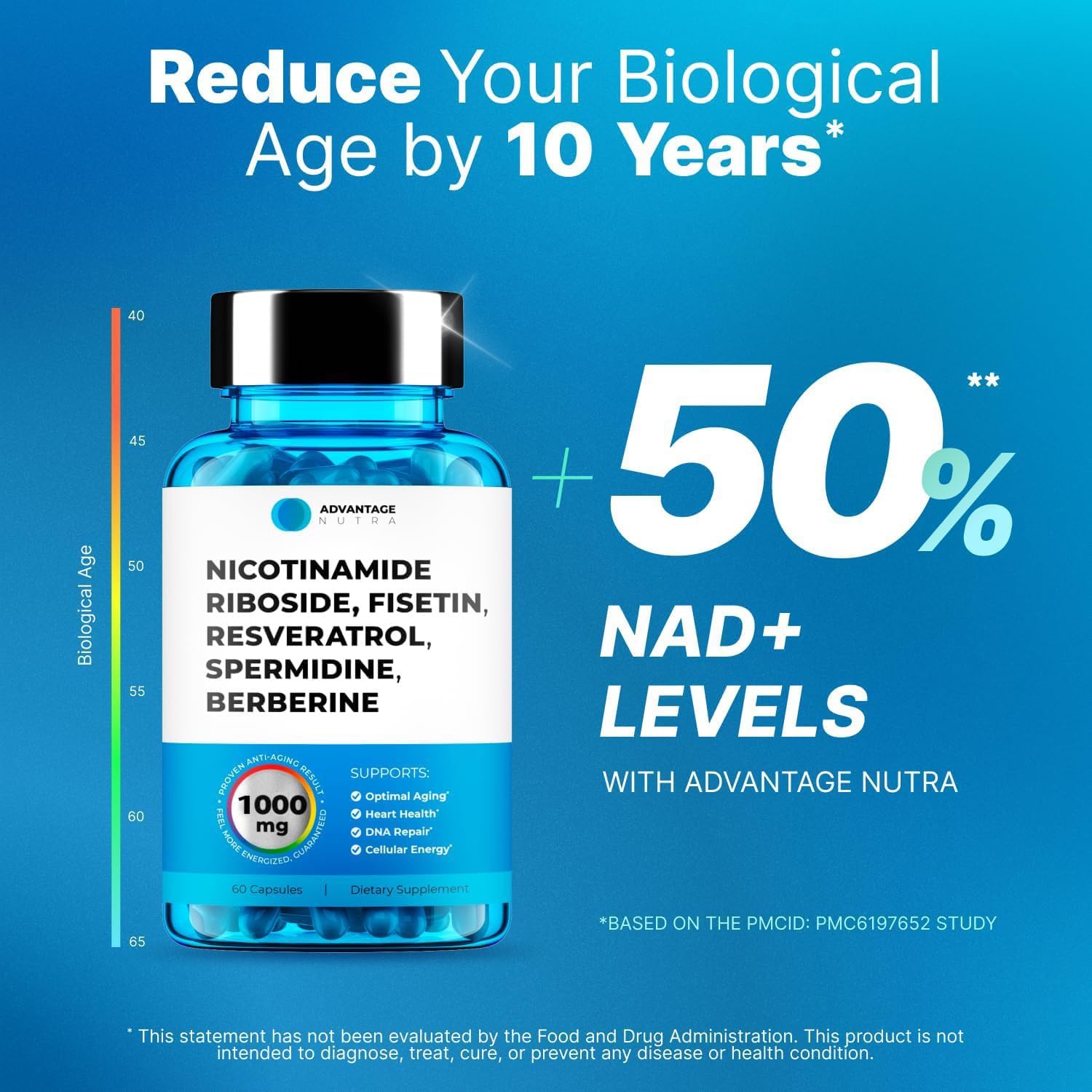 AdvantageNutra Liposomal Nicotinamide Riboside NR Supplement Resveratrol NAD : Nicotinamide 500mg w/Fisetin, Resveratrol Powder Spermidine Berberine NAD Resveratrol Supplement 500 mg - 60 caps 1 Pack AdvantageNutraAu supplements