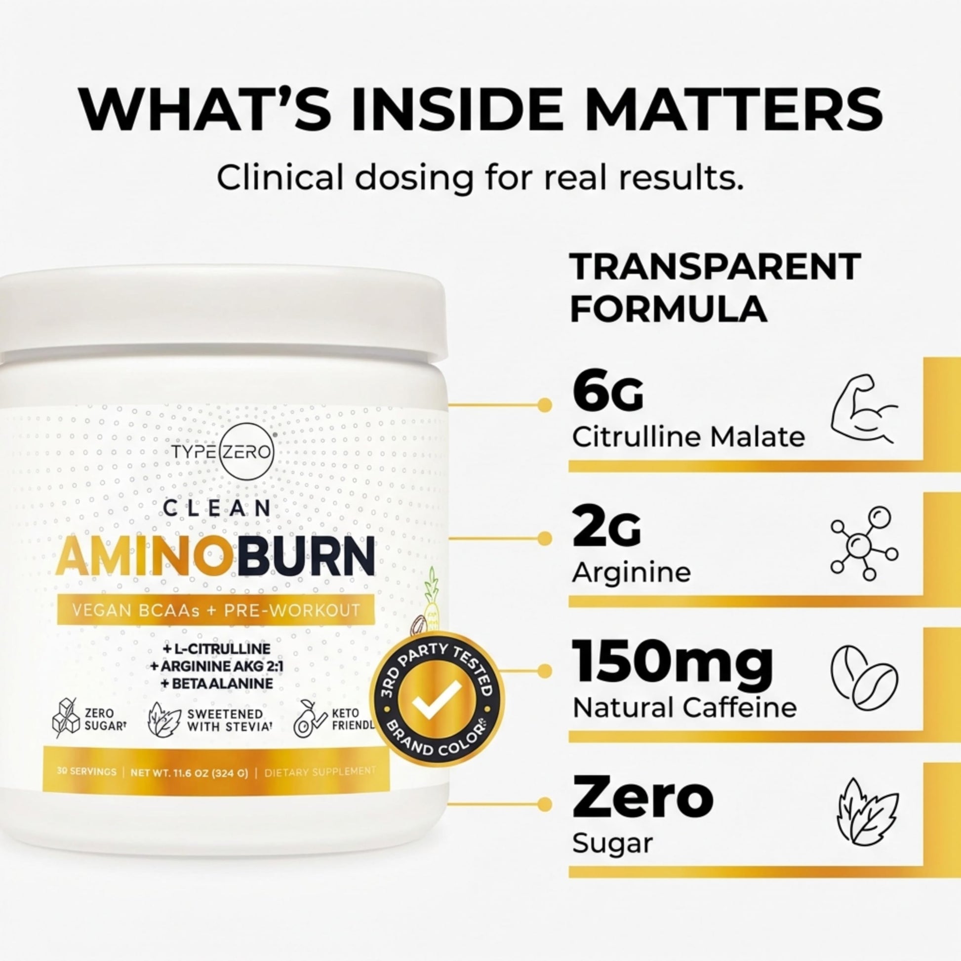 Type Zero Amino Burn Vegan BCAAs + Pre-Workout (Pina Colada Flavored) Type ZeroUS supplements
