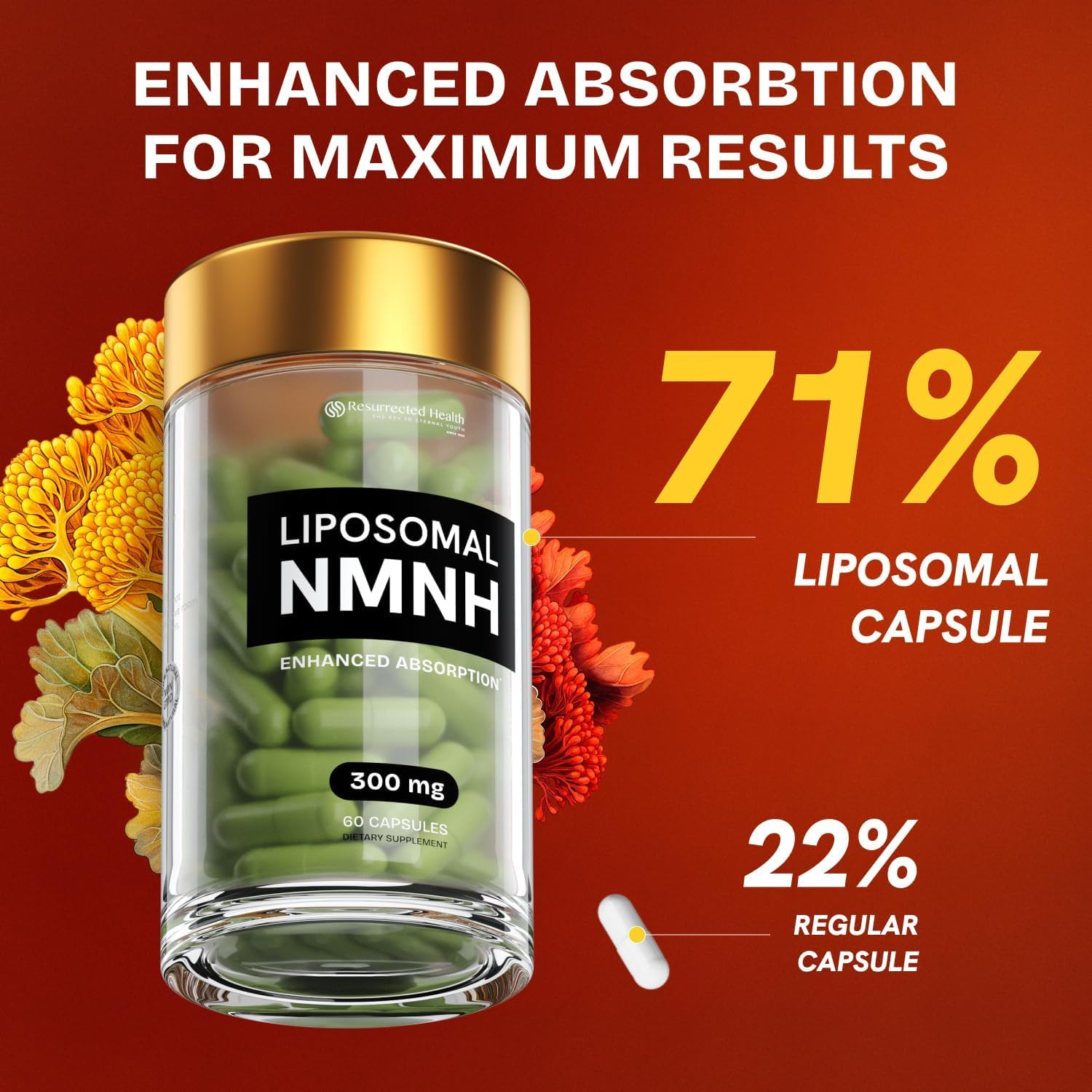 Resurrected Health Liposomal NMNH Supplement 300mg – Boosts NAD Anti-Aging, Energy & Focus – NMM Capsules Alternative to for Cellular Vitality – Third-Party Tested, 60 Vegan Capsules | 1 Pack Resurrected HealthAu supplements
