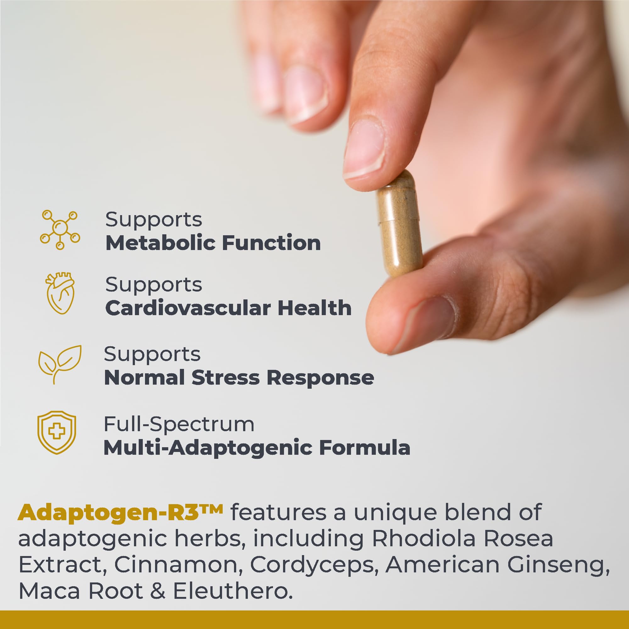 Premier Research Labs Adaptogen-R3 Supplement - Rhodiola Rosea Supplement with Maca Root, Adaptogen Complex for Stress, Heart & Metabolic Health - 90 Vegetarian Capsules Premier Research LabsAu supplements