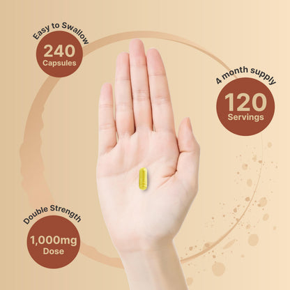 NatureBell Quercetin 1000mg Per Serving | 240 Capsules, Ultra Strength Quercetin NatureBellUS supplements