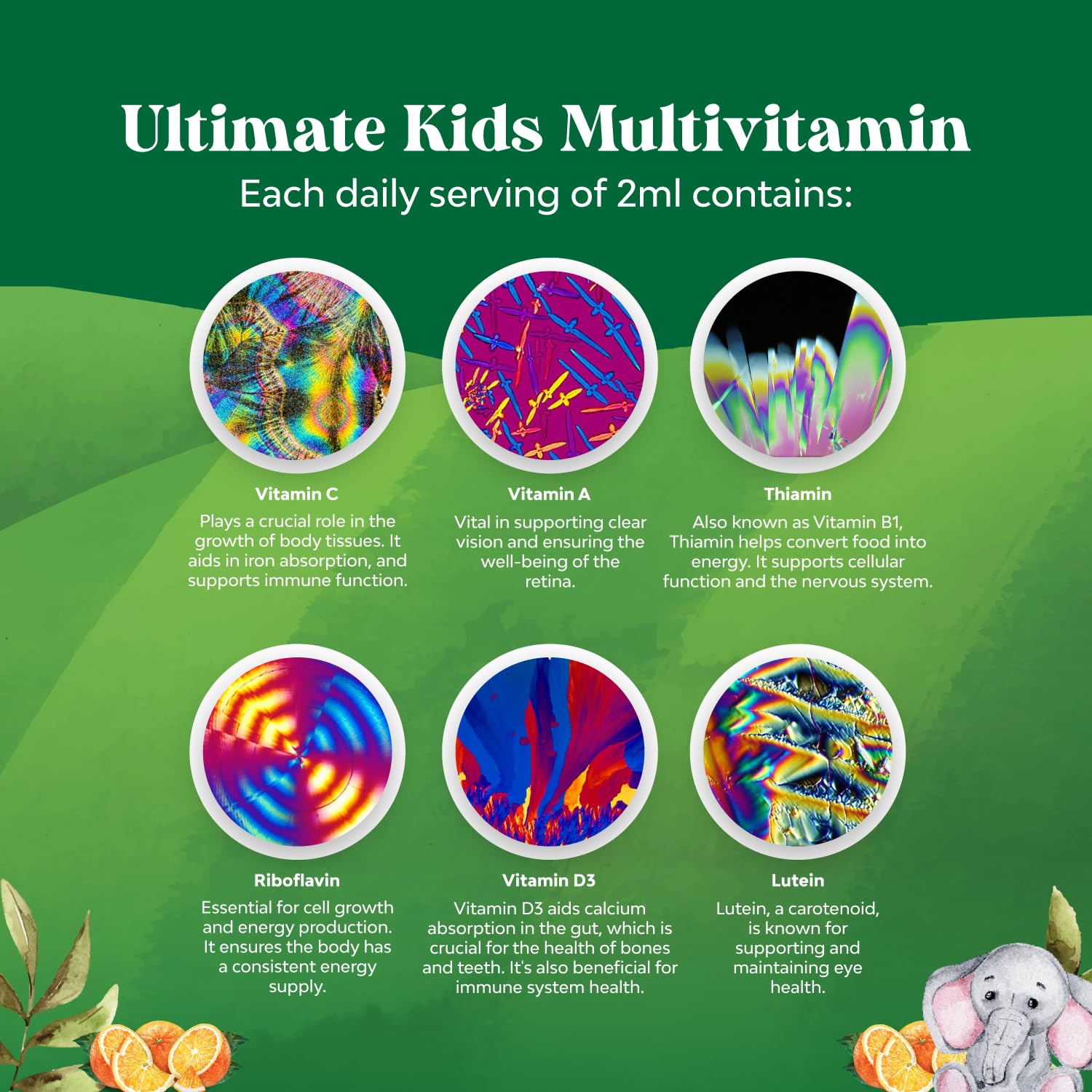Bundle of Kids DHA Omega 3 Gummies - Fatty Acids Omega 3 6 9 for Brain Immune Strength Vision Focus Support and Liquid Multivitamin for Kids Immunity Support Natures CraftUS supplements